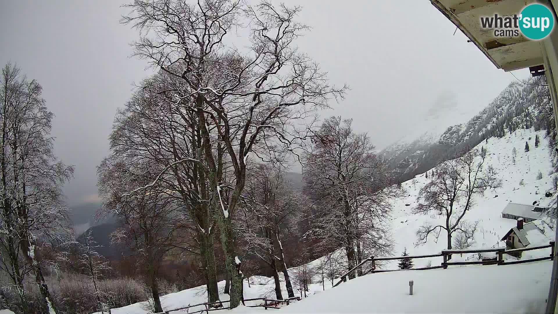 Cámara en vivo de la cabaña de montaña Planina Razor (1315) | vista hacia Tolminski Migovec