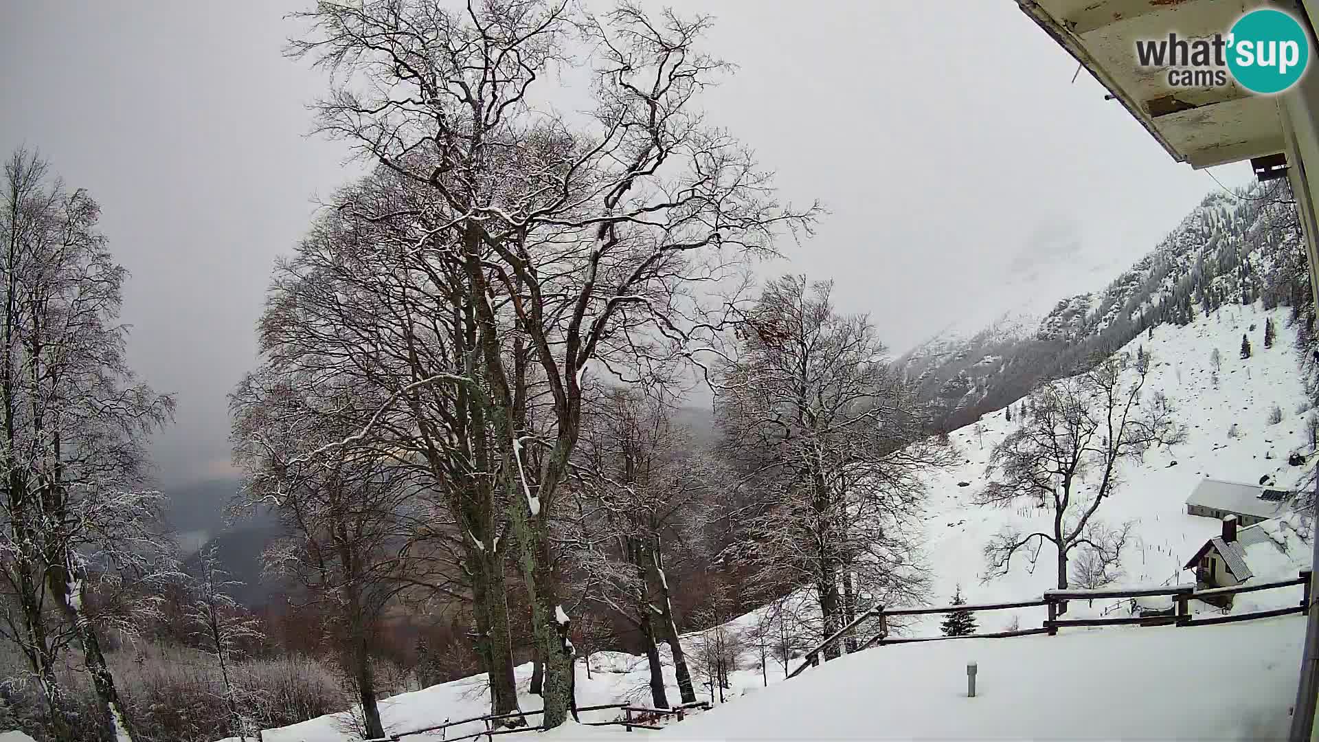 Cámara en vivo de la cabaña de montaña Planina Razor (1315) | vista hacia Tolminski Migovec