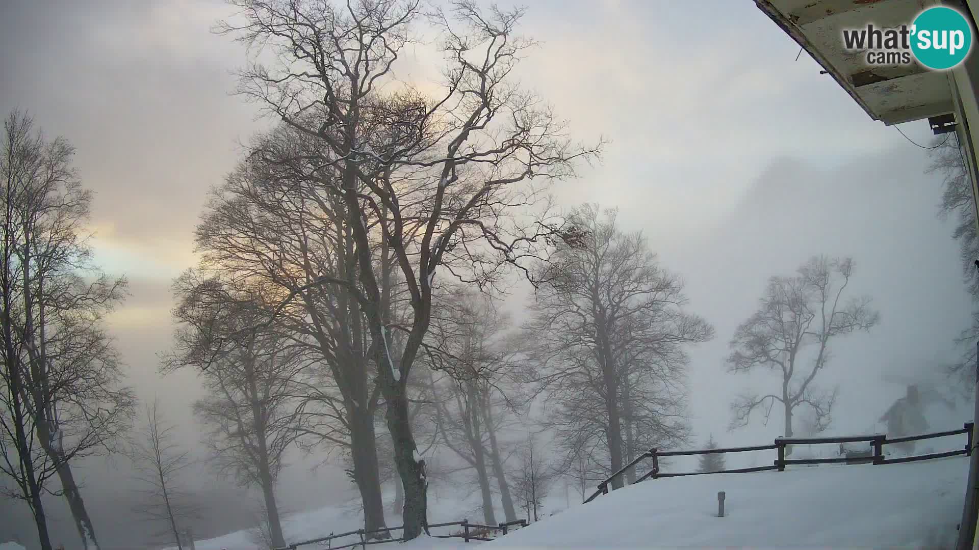 Koča na Planini Razor spletna kamera (1315) | Pogled na Tolminski Migovec