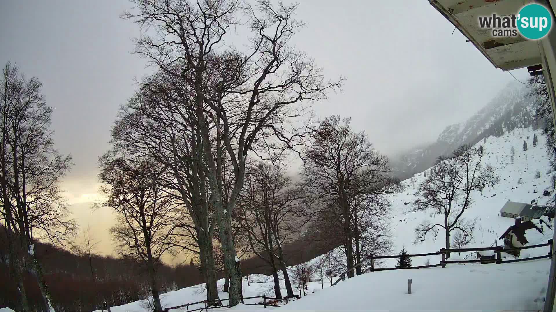 Cámara en vivo de la cabaña de montaña Planina Razor (1315) | vista hacia Tolminski Migovec