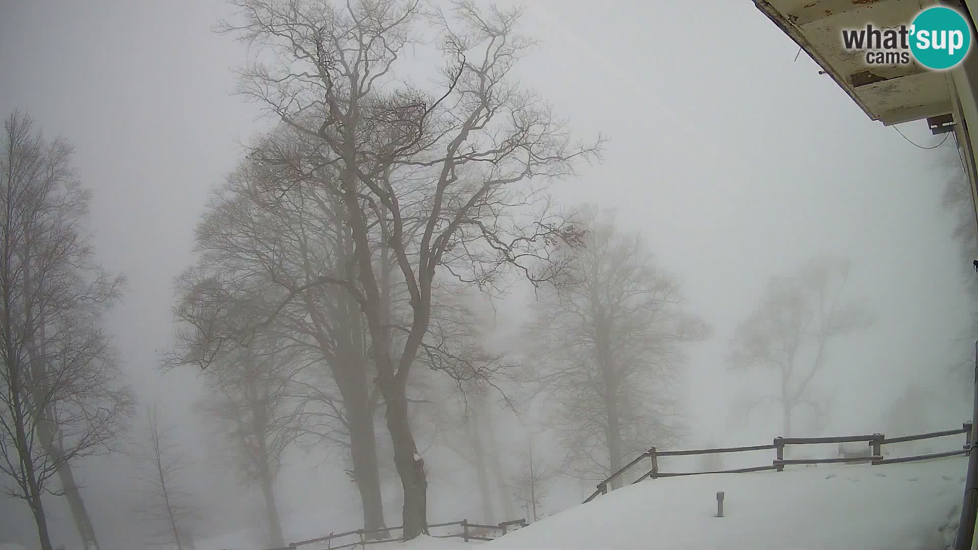 Planina Razor Bergütte Webcam (1315) | Blick auf Tolminski Migovec