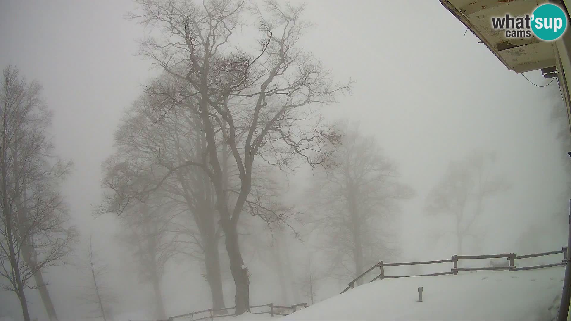 Planina Razor Mountain Hut live cam (1315) | view to Tolminski Migovec