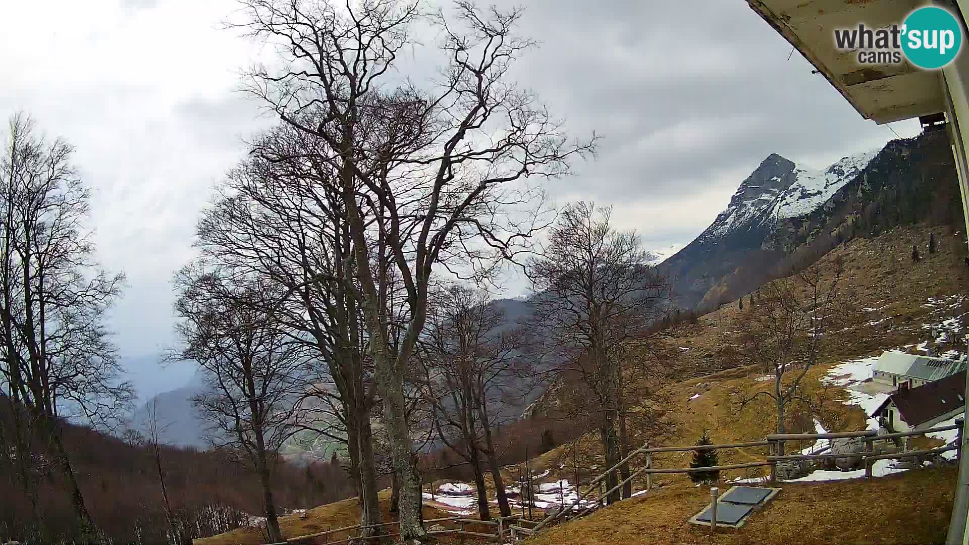 Baita di montagna Planina Razor webcam (1315) | vista su Tolminski Migovec