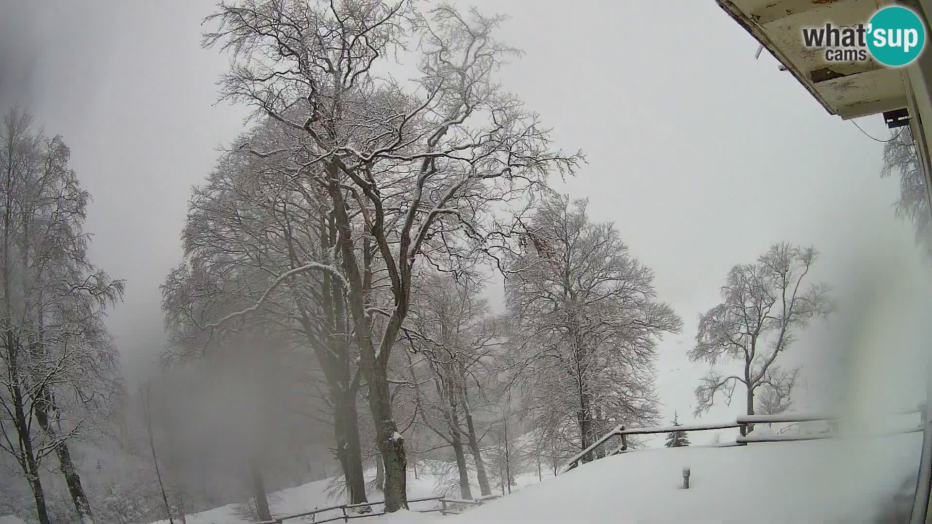 Planina Razor Mountain Hut live cam (1315) | view to Tolminski Migovec