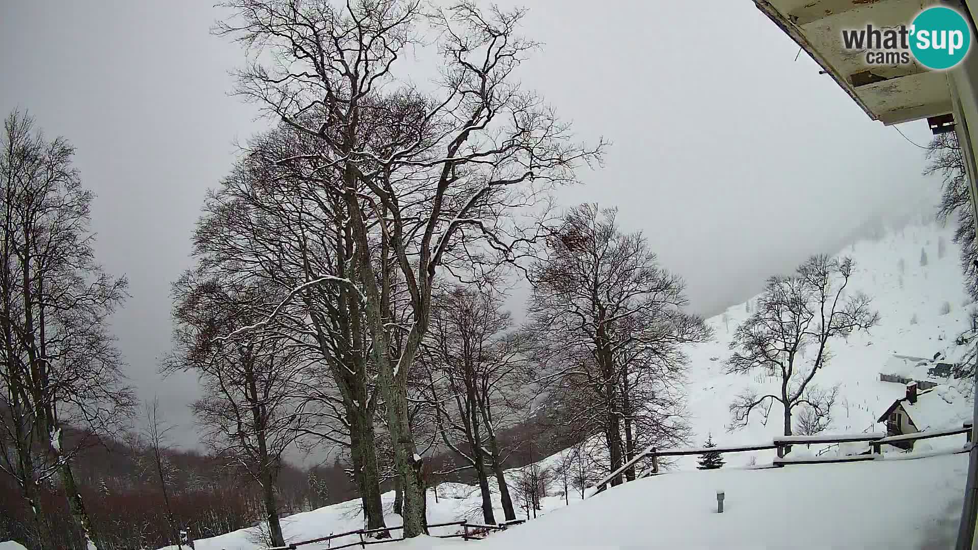 Cámara en vivo de la cabaña de montaña Planina Razor (1315) | vista hacia Tolminski Migovec