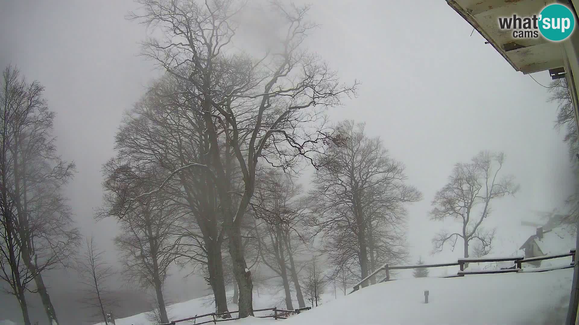 Cámara en vivo de la cabaña de montaña Planina Razor (1315) | vista hacia Tolminski Migovec