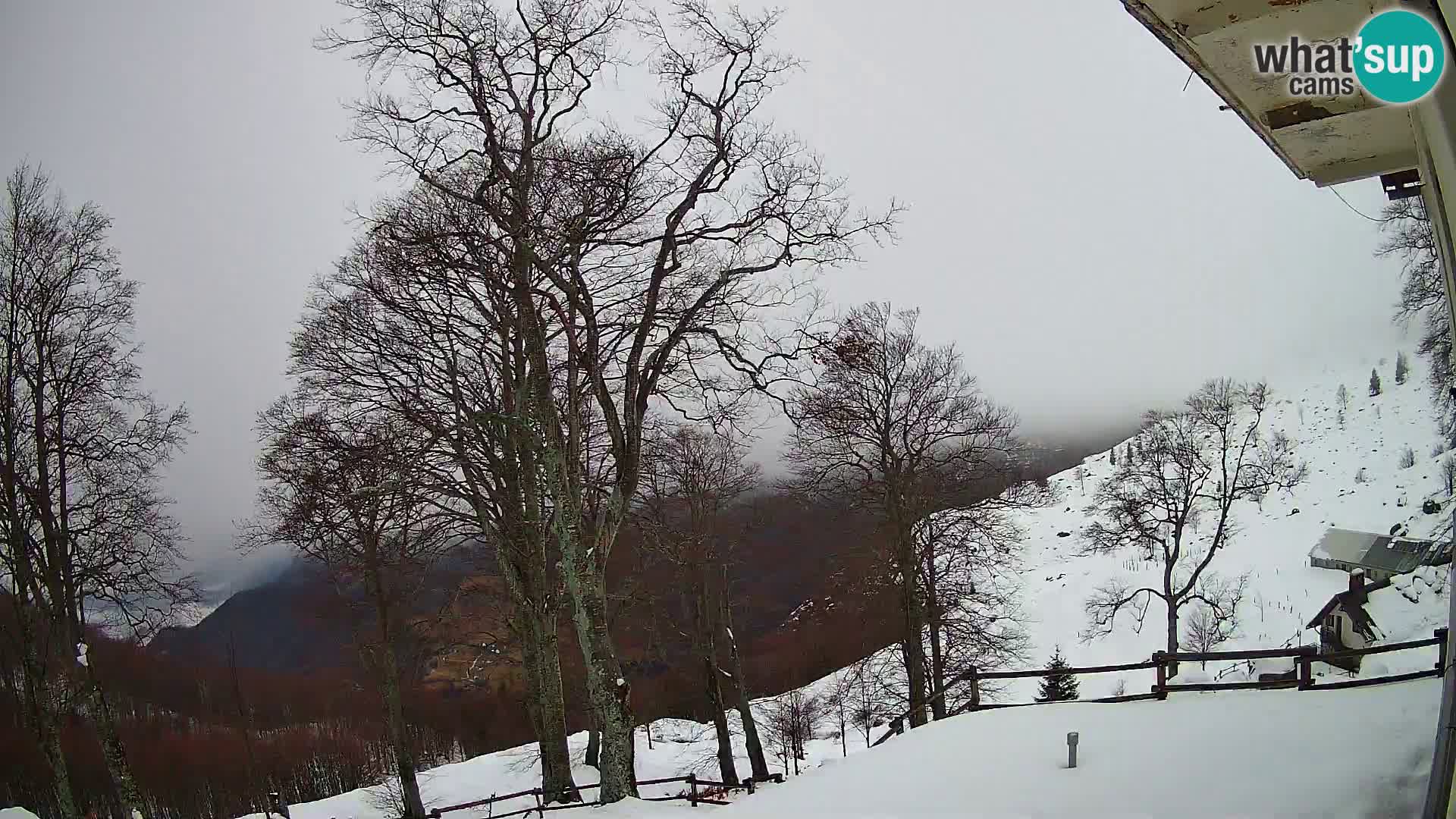 Koča na Planini Razor spletna kamera (1315) | Pogled na Tolminski Migovec