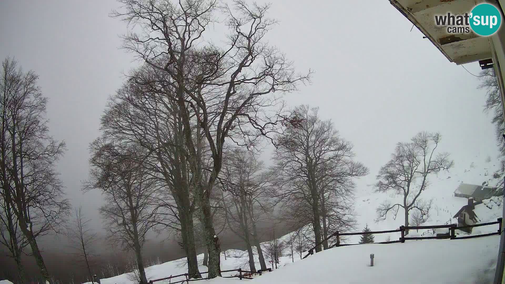 Planina Razor Mountain Hut live cam (1315) | view to Tolminski Migovec