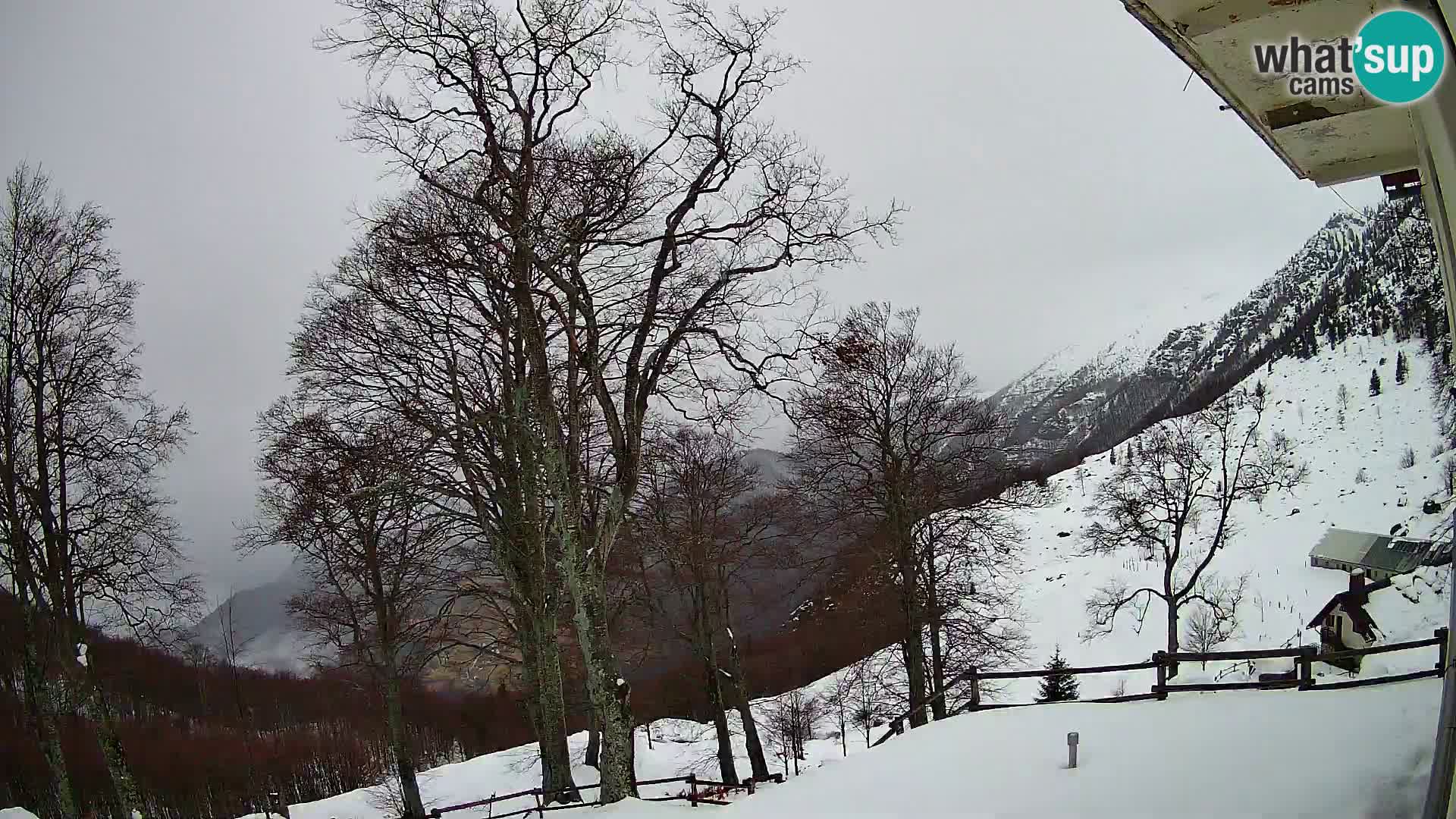 Planina Razor Mountain Hut live cam (1315) | view to Tolminski Migovec