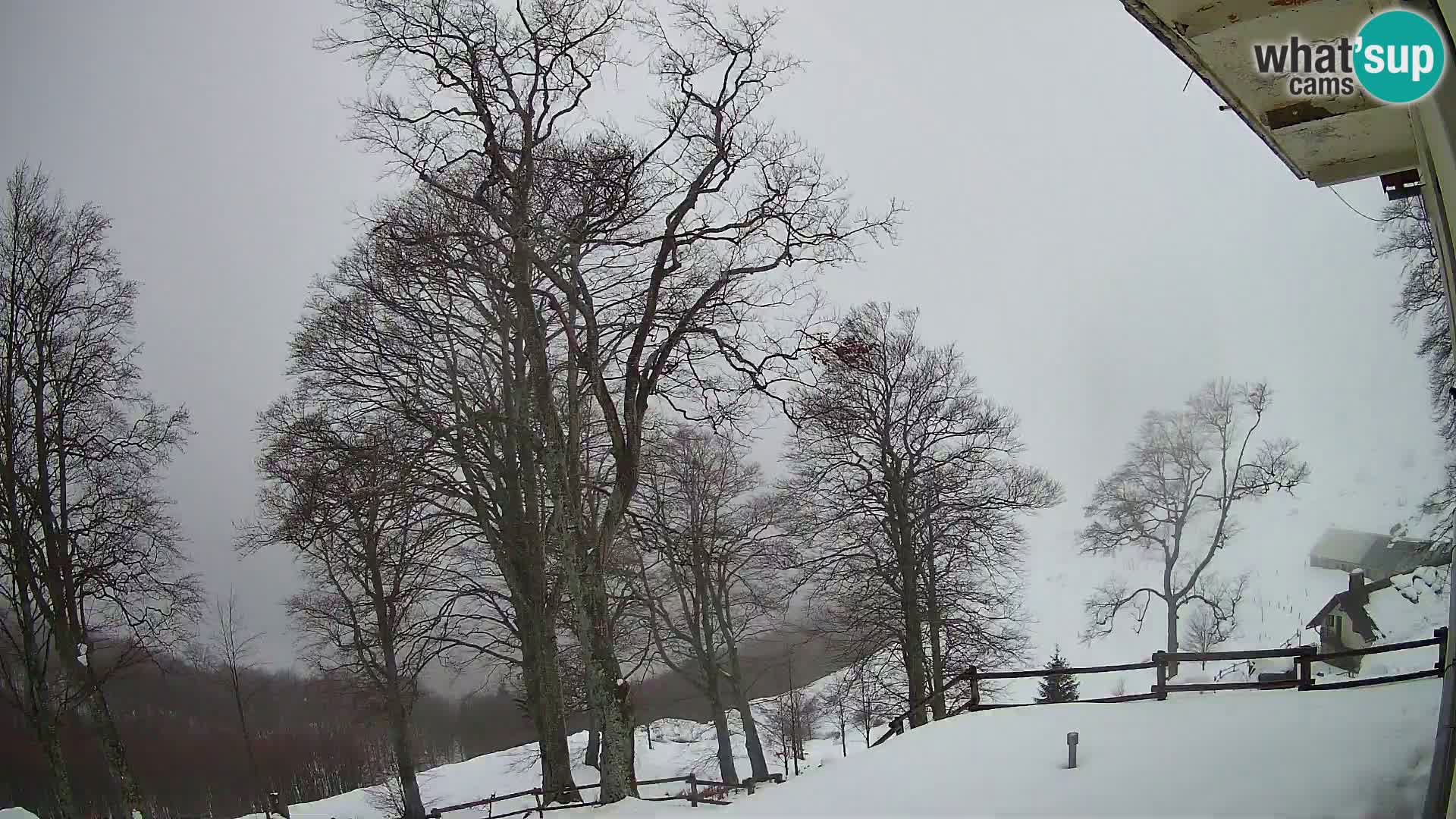 Koča na Planini Razor spletna kamera (1315) | Pogled na Tolminski Migovec