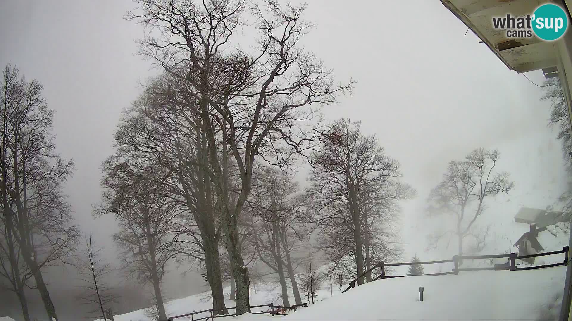 Planina Razor Mountain Hut live cam (1315) | view to Tolminski Migovec