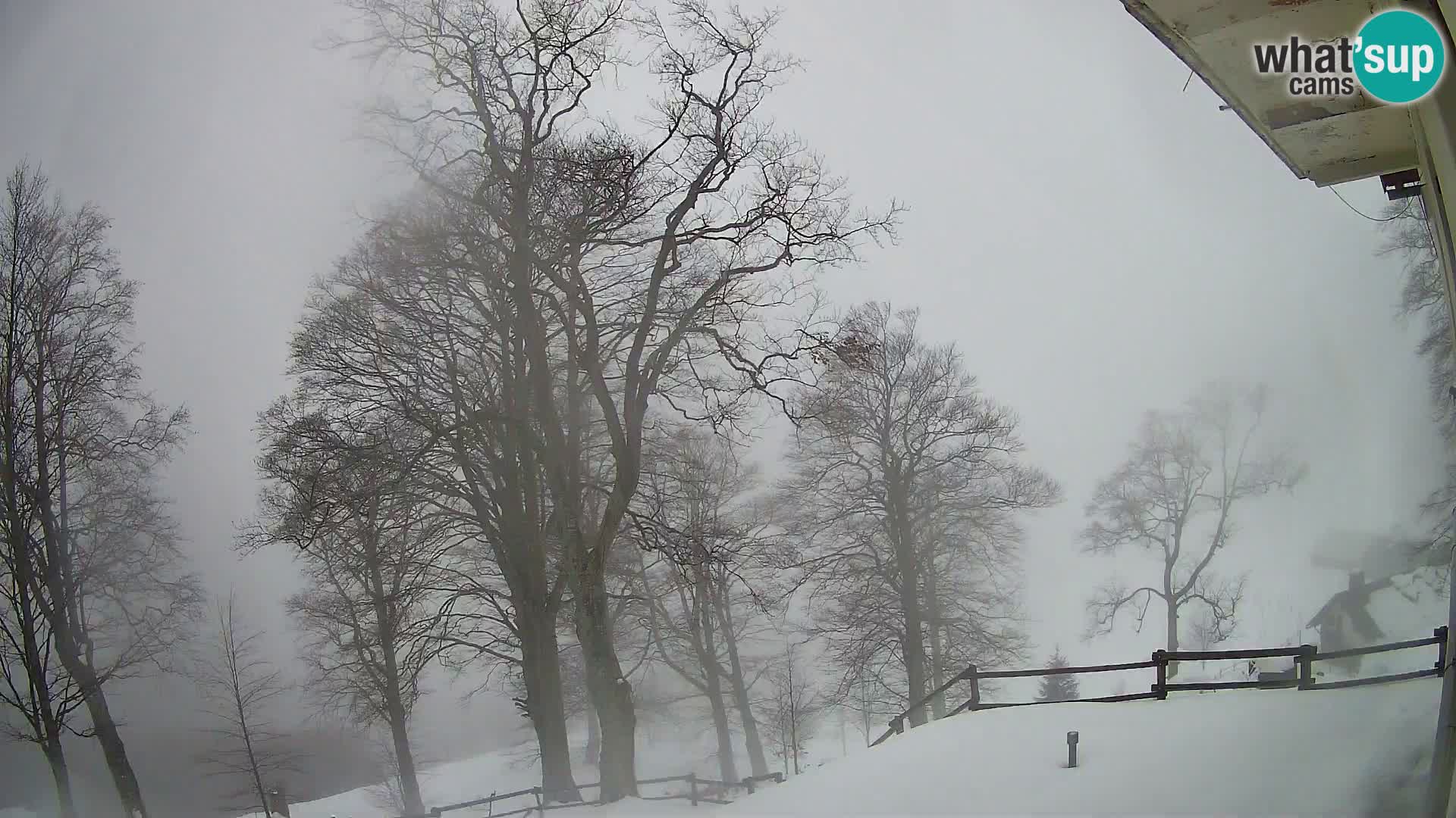 Koča na Planini Razor spletna kamera (1315) | Pogled na Tolminski Migovec