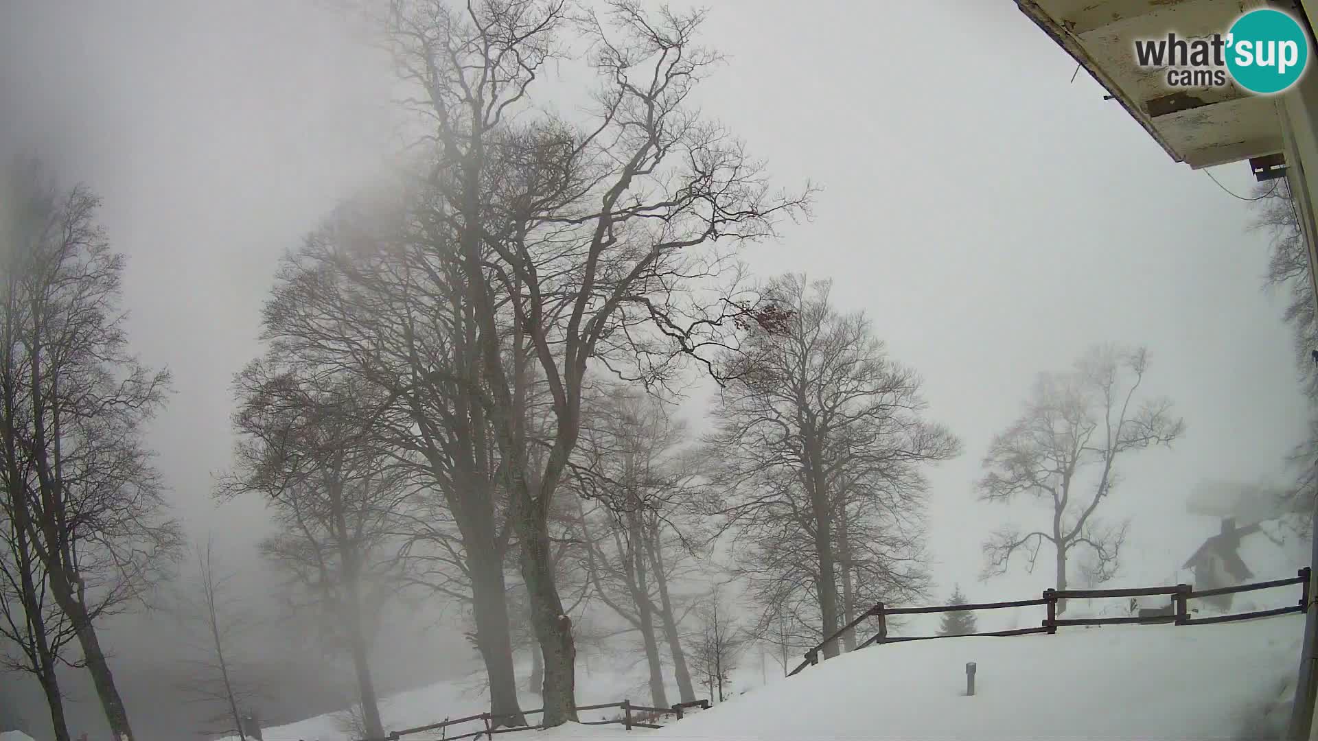 Planina Razor Mountain Hut live cam (1315) | view to Tolminski Migovec