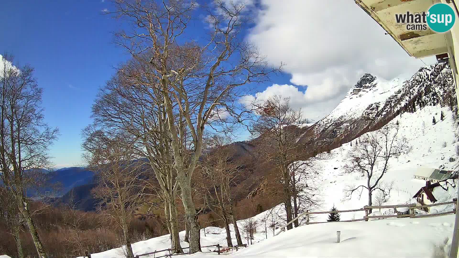 Planina Razor Bergütte Webcam (1315) | Blick auf Tolminski Migovec