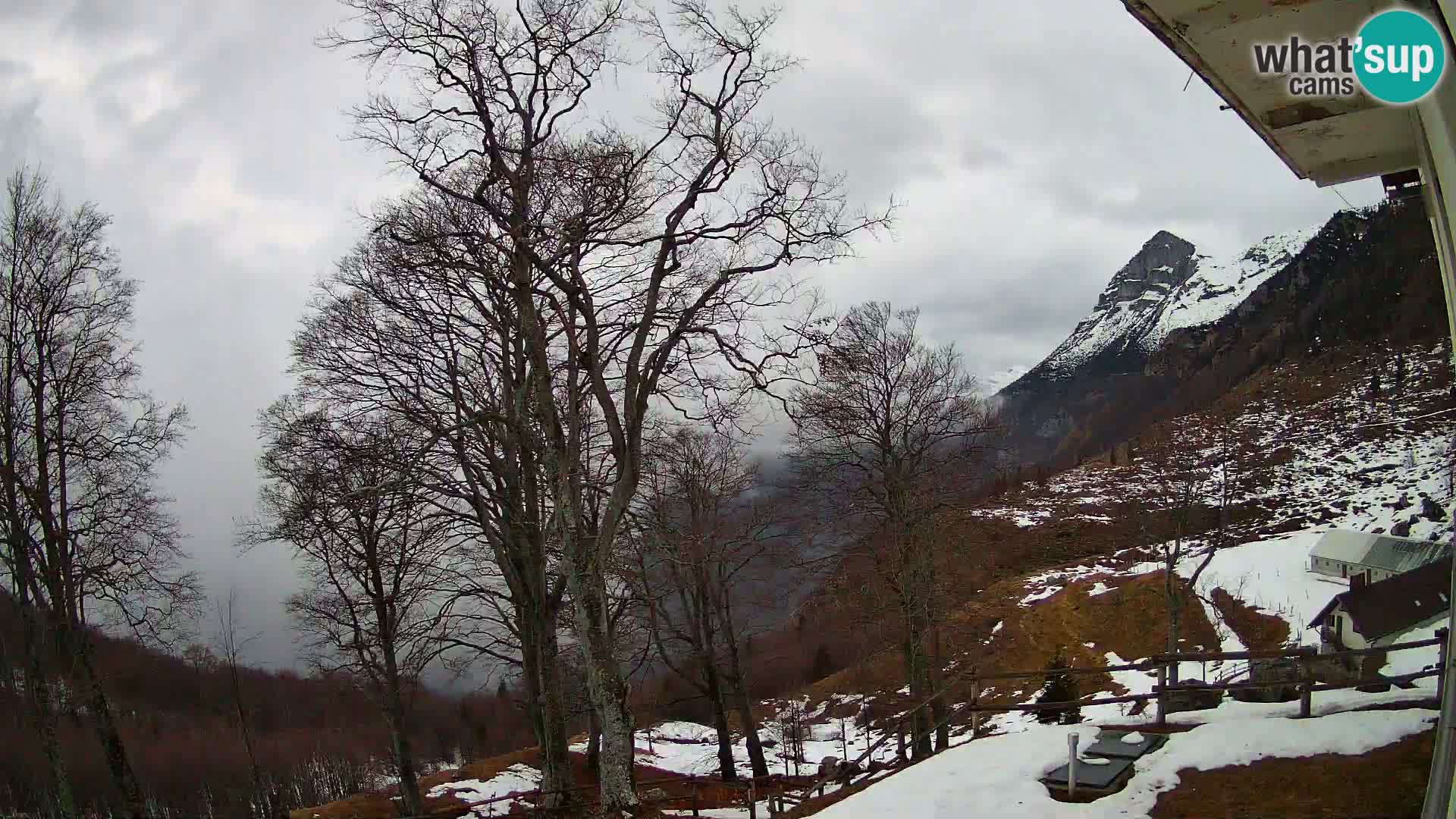 Baita di montagna Planina Razor webcam (1315) | vista su Tolminski Migovec