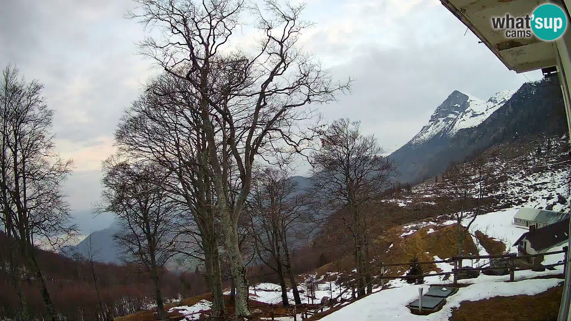 Planina Razor Bergütte Webcam (1315) | Blick auf Tolminski Migovec
