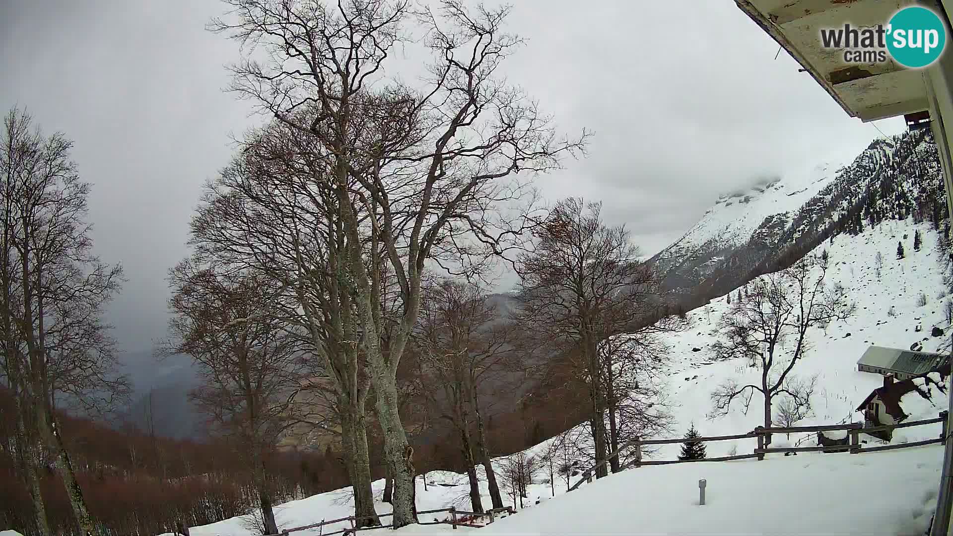 Cámara en vivo de la cabaña de montaña Planina Razor (1315) | vista hacia Tolminski Migovec