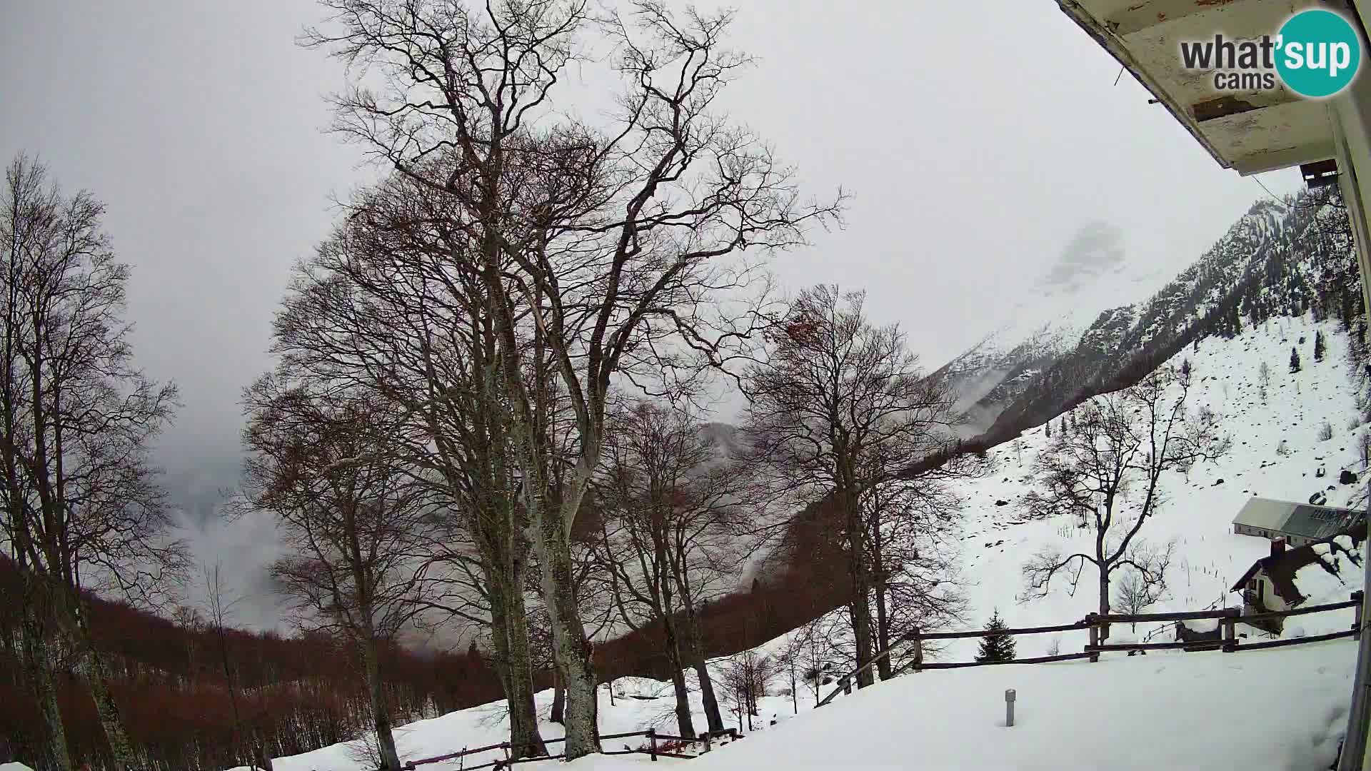 Planina Razor Bergütte Webcam (1315) | Blick auf Tolminski Migovec