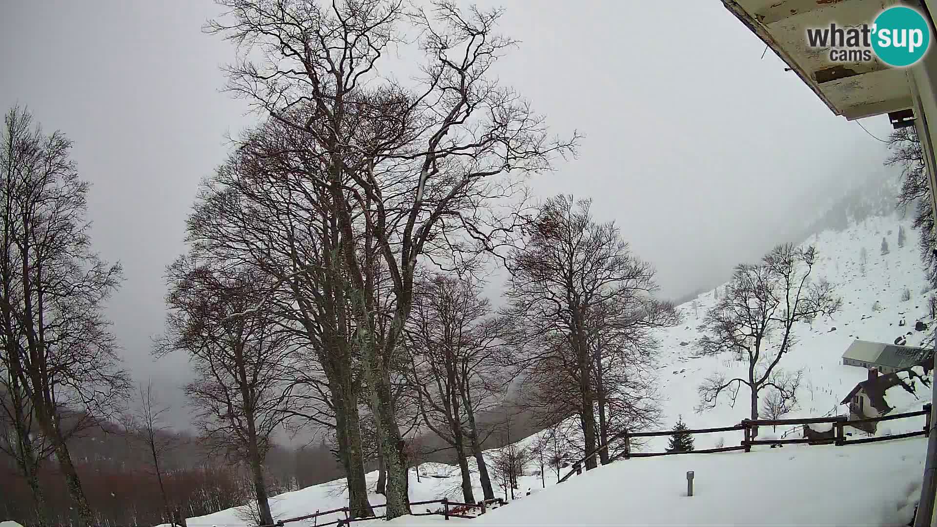 Refuge de la montagne Planina Razor caméra en direct (1315) | vue sur Tolminski Migovec