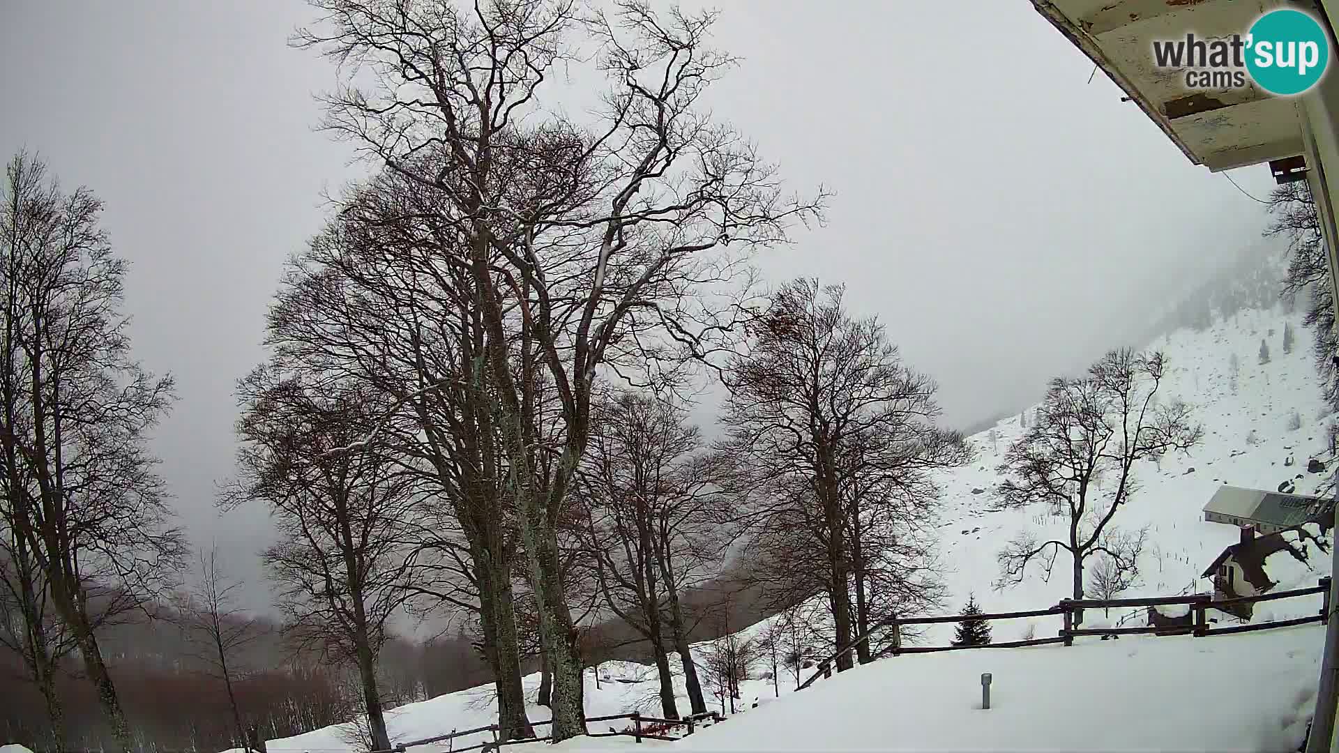 Planina Razor Mountain Hut live cam (1315) | view to Tolminski Migovec