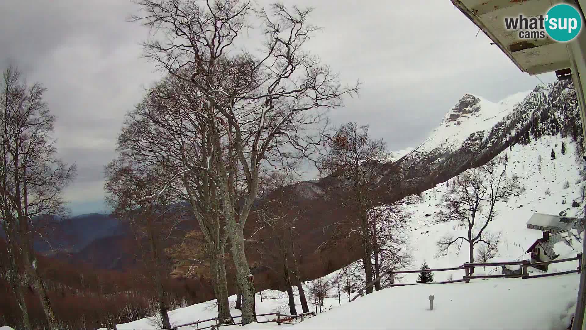 Planina Razor Mountain Hut live cam (1315) | view to Tolminski Migovec