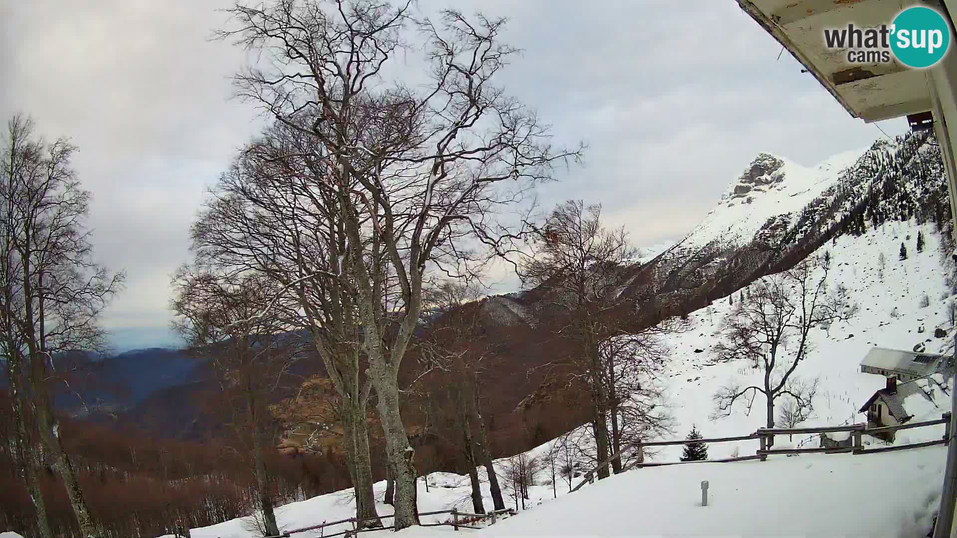 Cámara en vivo de la cabaña de montaña Planina Razor (1315) | vista hacia Tolminski Migovec