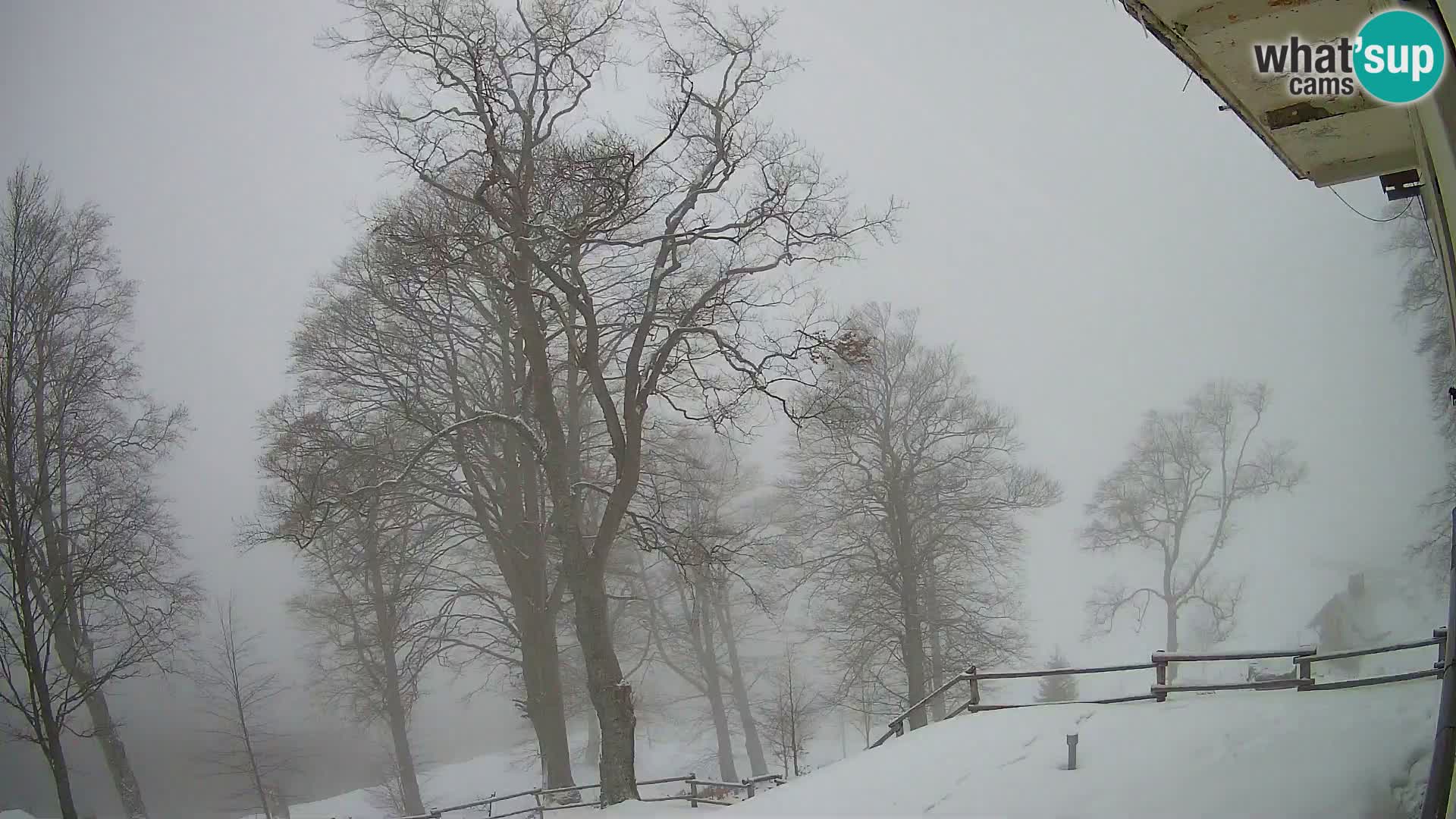 Koča na Planini Razor spletna kamera (1315) | Pogled na Tolminski Migovec