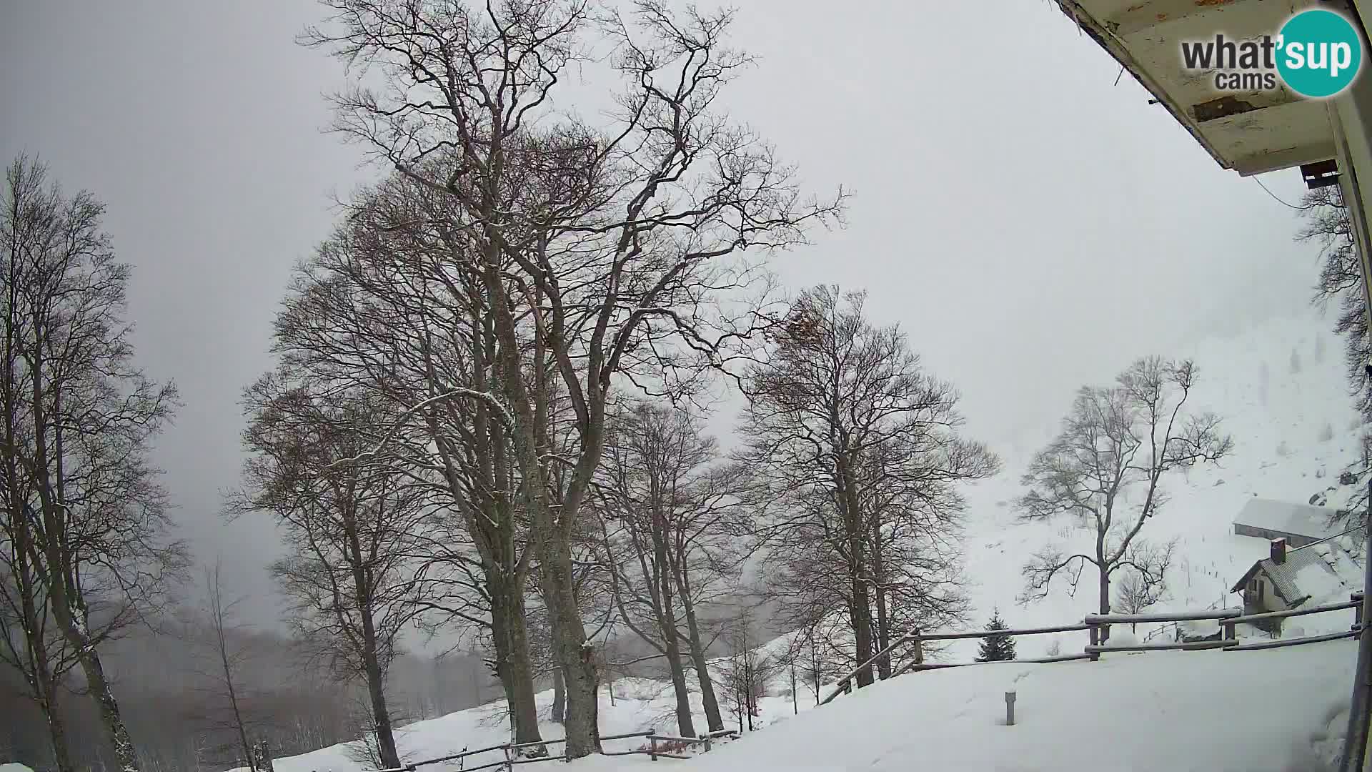 Refuge de la montagne Planina Razor caméra en direct (1315) | vue sur Tolminski Migovec