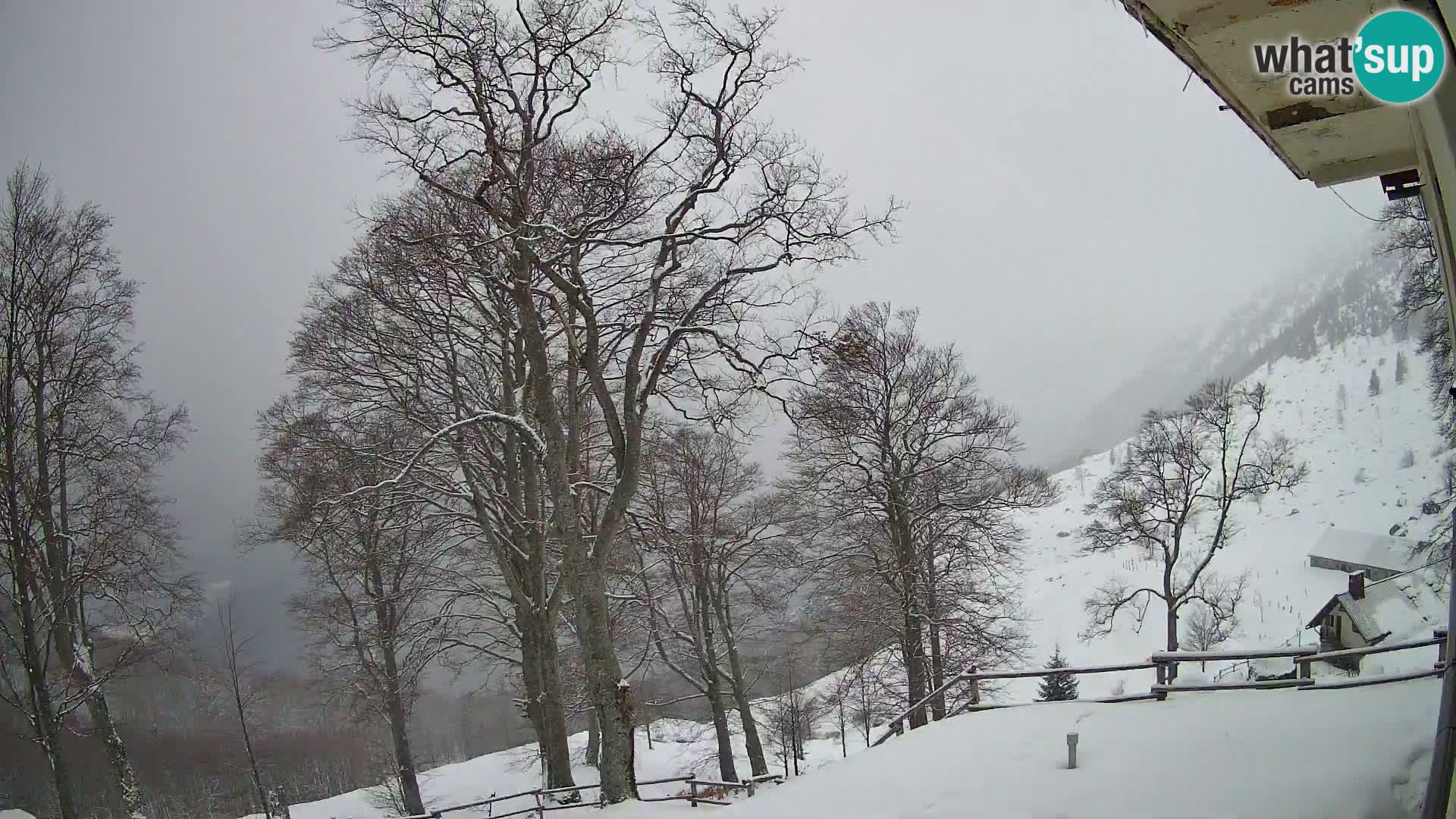 Planina Razor Bergütte Webcam (1315) | Blick auf Tolminski Migovec