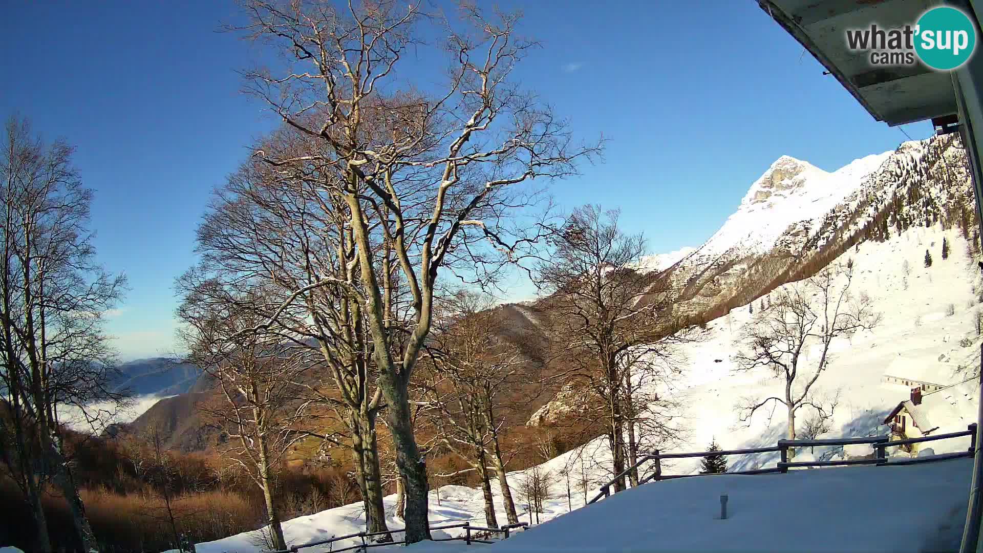 Baita di montagna Planina Razor webcam (1315) | vista su Tolminski Migovec