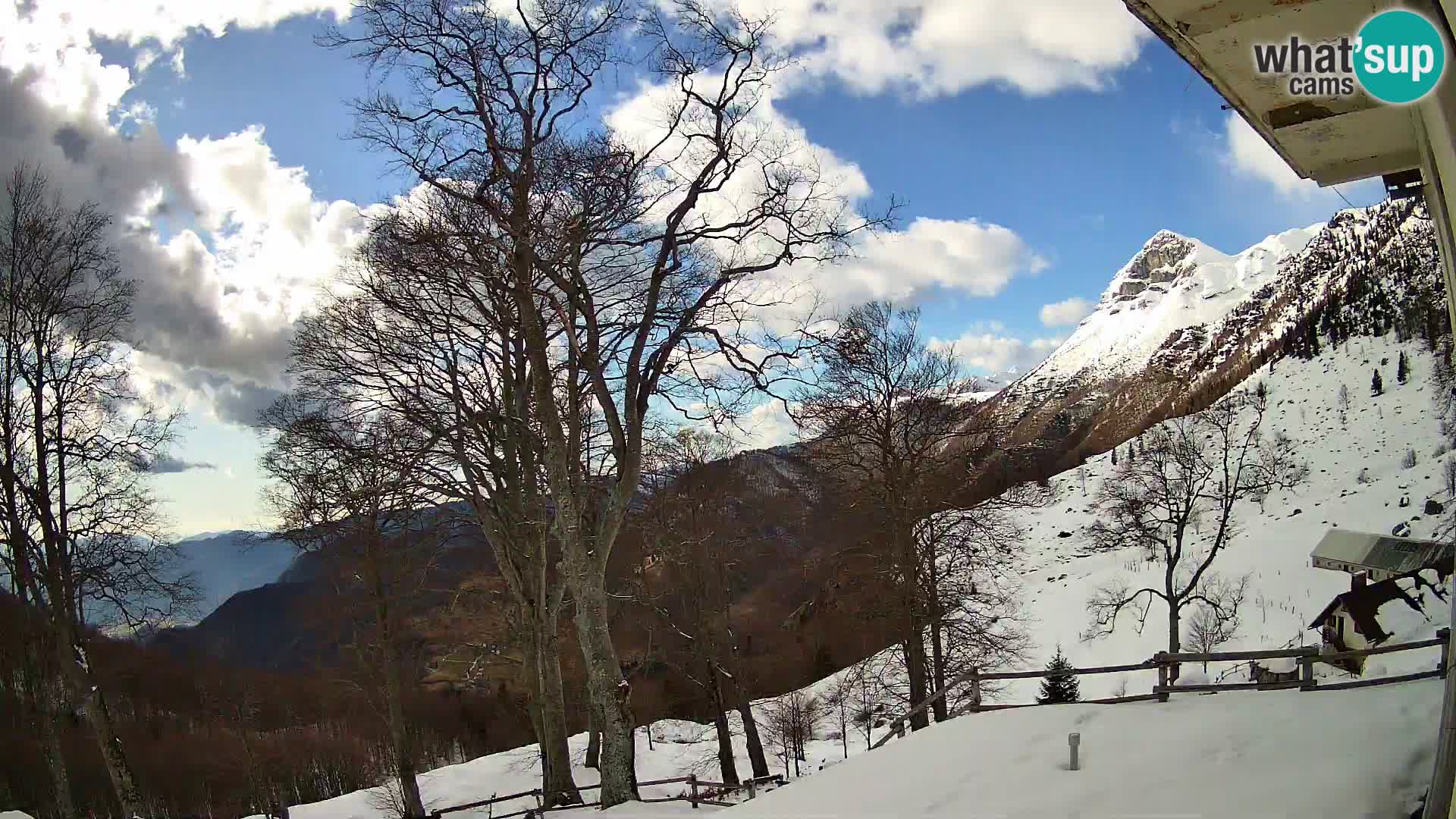 Baita di montagna Planina Razor webcam (1315) | vista su Tolminski Migovec