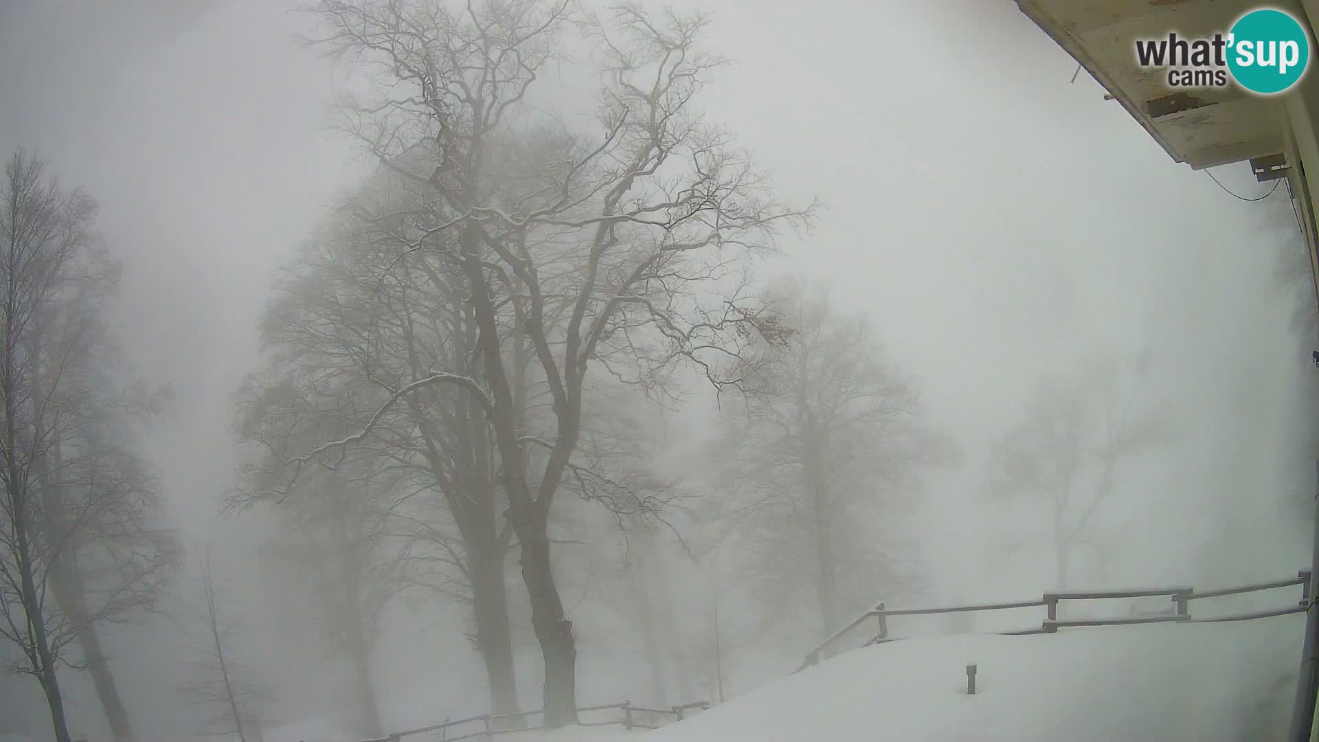 Planina Razor Mountain Hut live cam (1315) | view to Tolminski Migovec