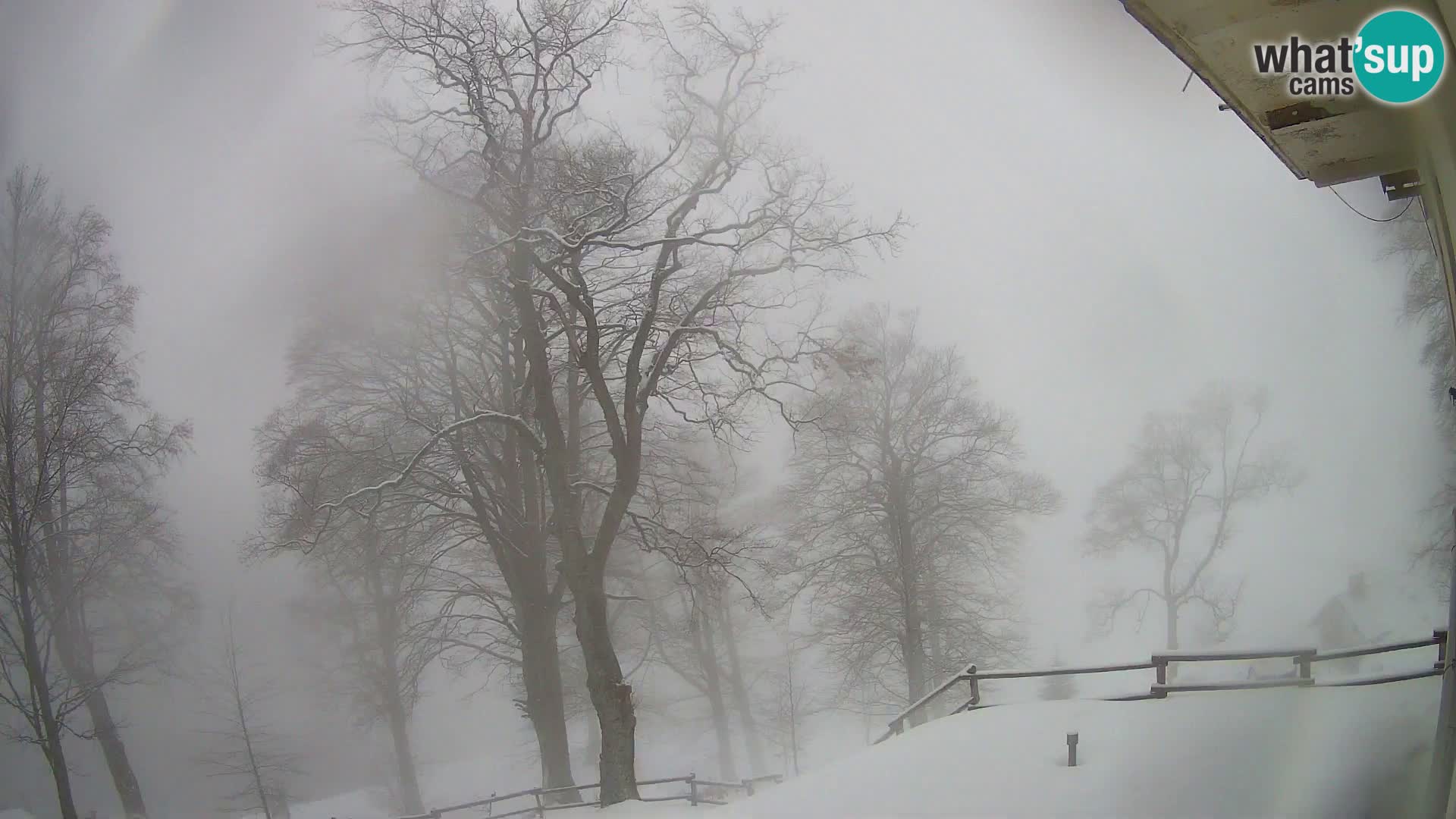 Planinarski dom na planini Razor (1315) | Pogled na Tolminski Migovec