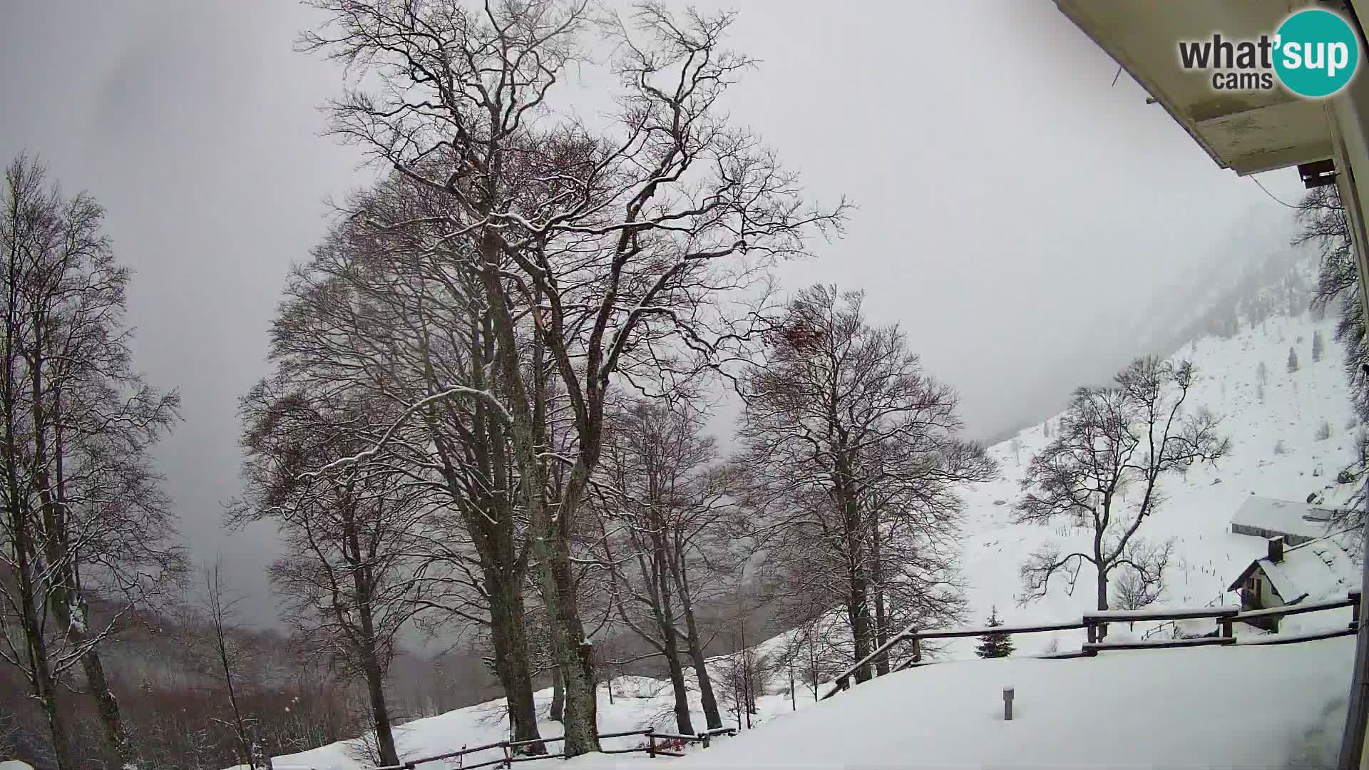 Koča na Planini Razor spletna kamera (1315) | Pogled na Tolminski Migovec