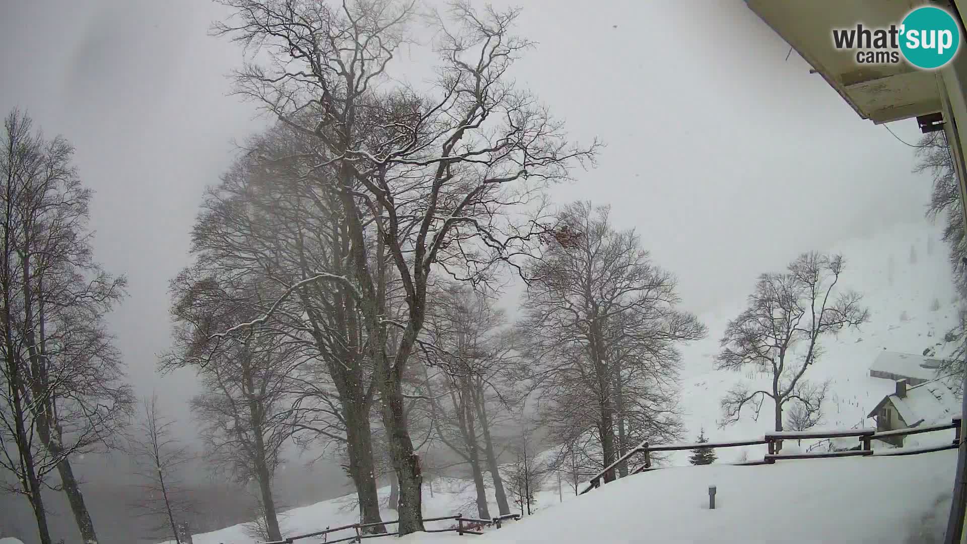 Planinarski dom na planini Razor (1315) | Pogled na Tolminski Migovec