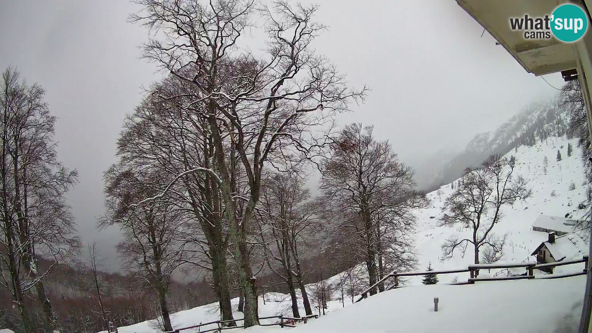 Planina Razor Bergütte Webcam (1315) | Blick auf Tolminski Migovec