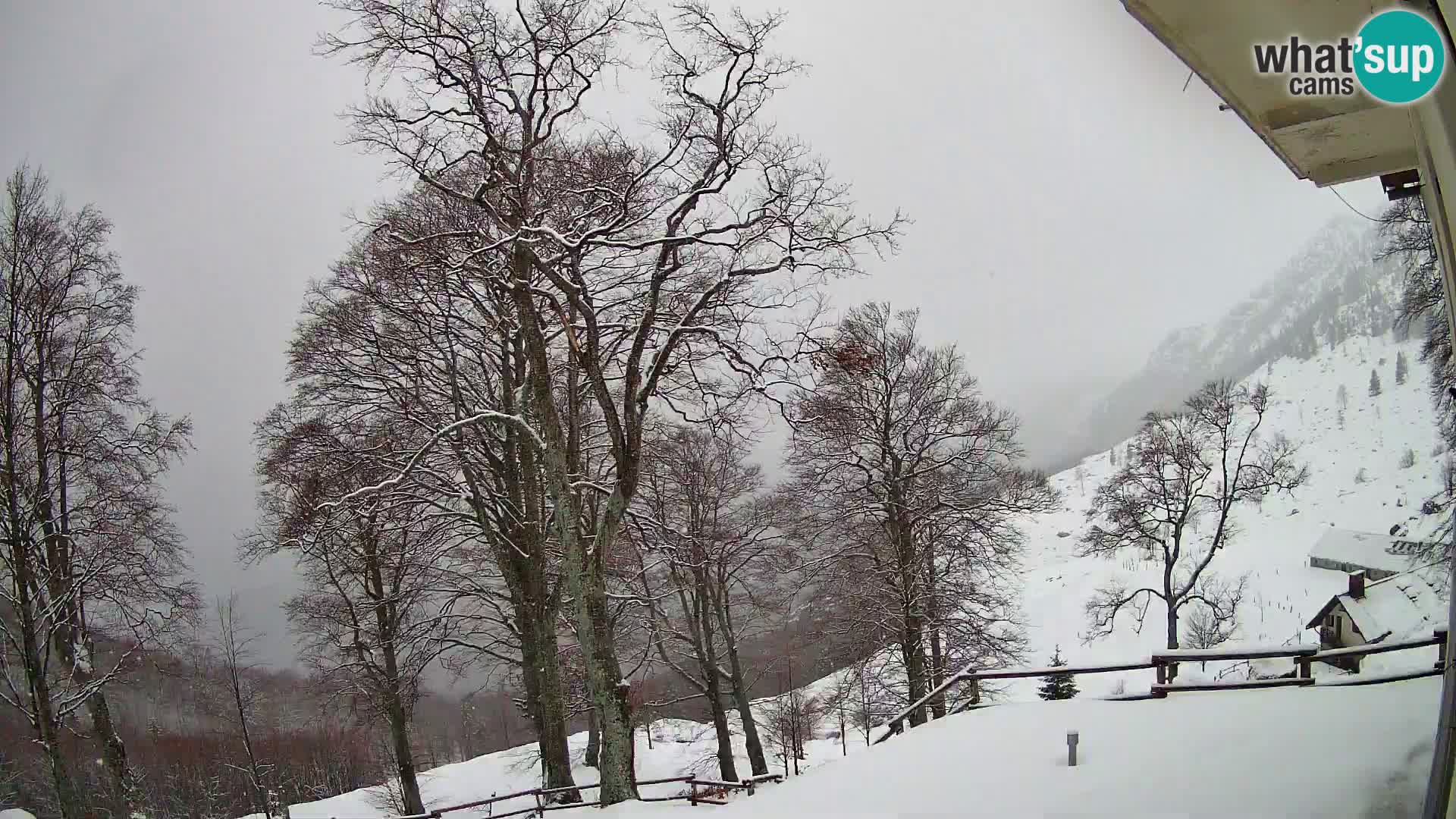 Cámara en vivo de la cabaña de montaña Planina Razor (1315) | vista hacia Tolminski Migovec