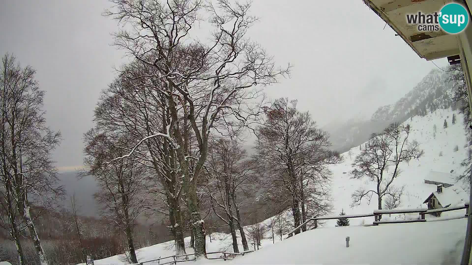 Planina Razor Mountain Hut live cam (1315) | view to Tolminski Migovec