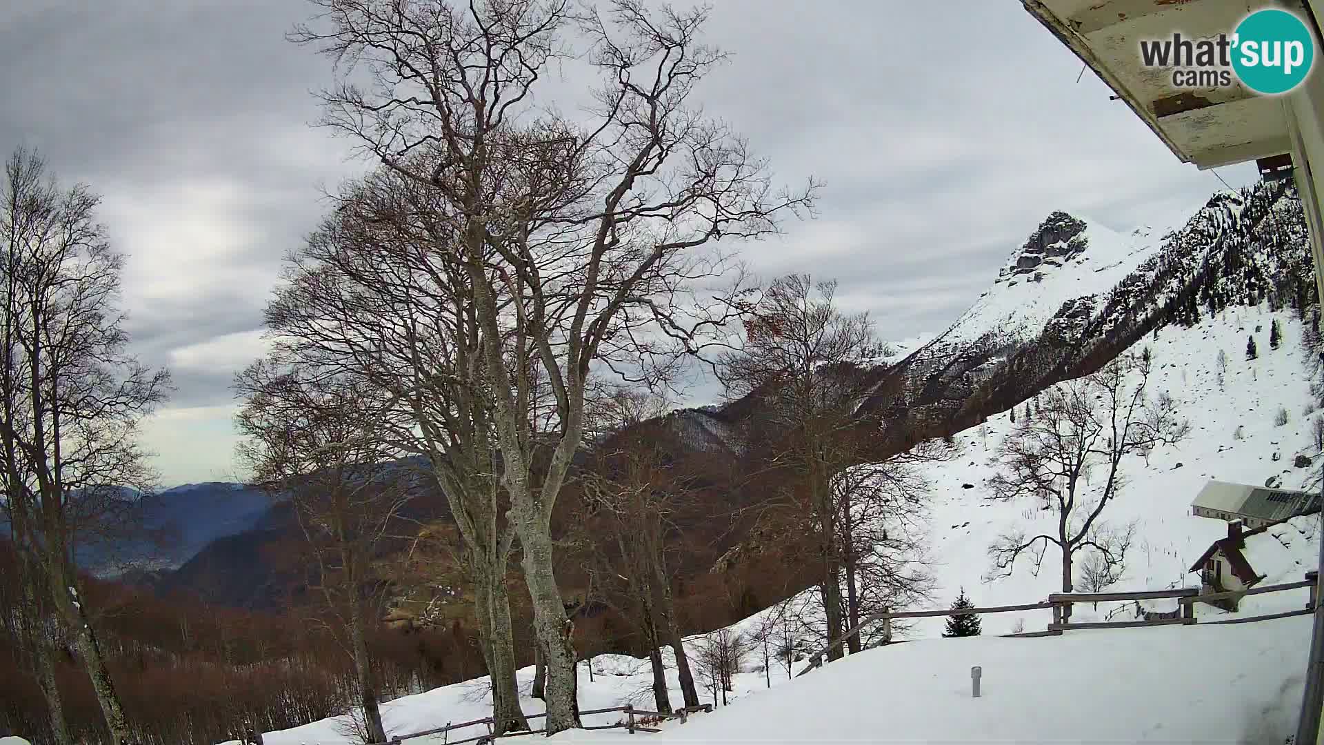 Planina Razor Bergütte Webcam (1315) | Blick auf Tolminski Migovec