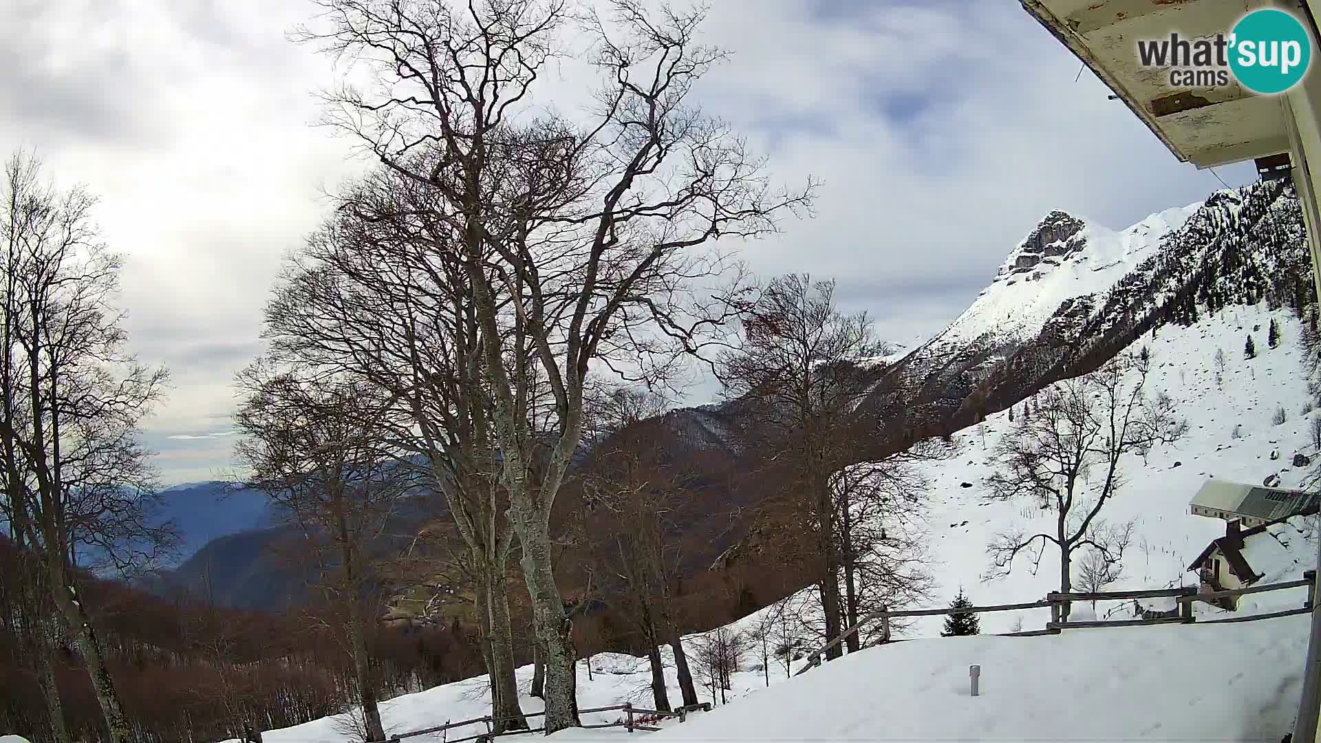 Planina Razor Bergütte Webcam (1315) | Blick auf Tolminski Migovec
