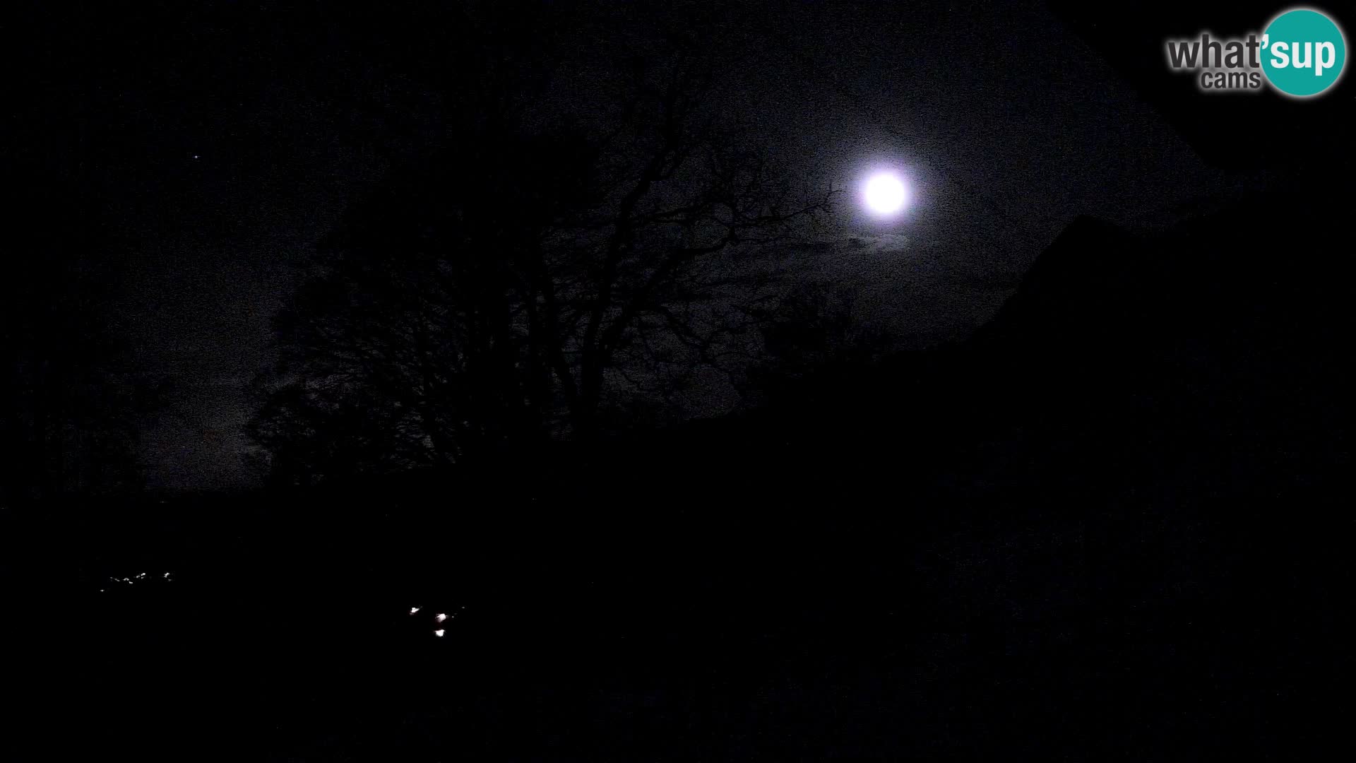 Baita di montagna Planina Razor webcam (1315) | vista su Tolminski Migovec