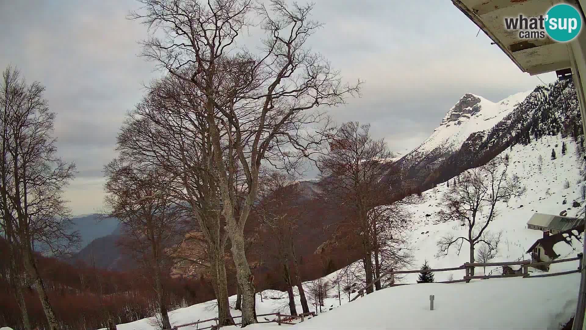 Planina Razor Mountain Hut live cam (1315) | view to Tolminski Migovec