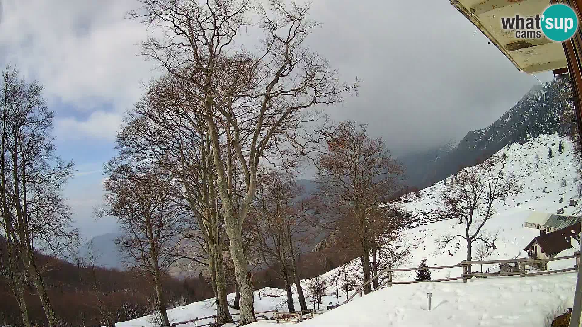 Planina Razor Mountain Hut live cam (1315) | view to Tolminski Migovec