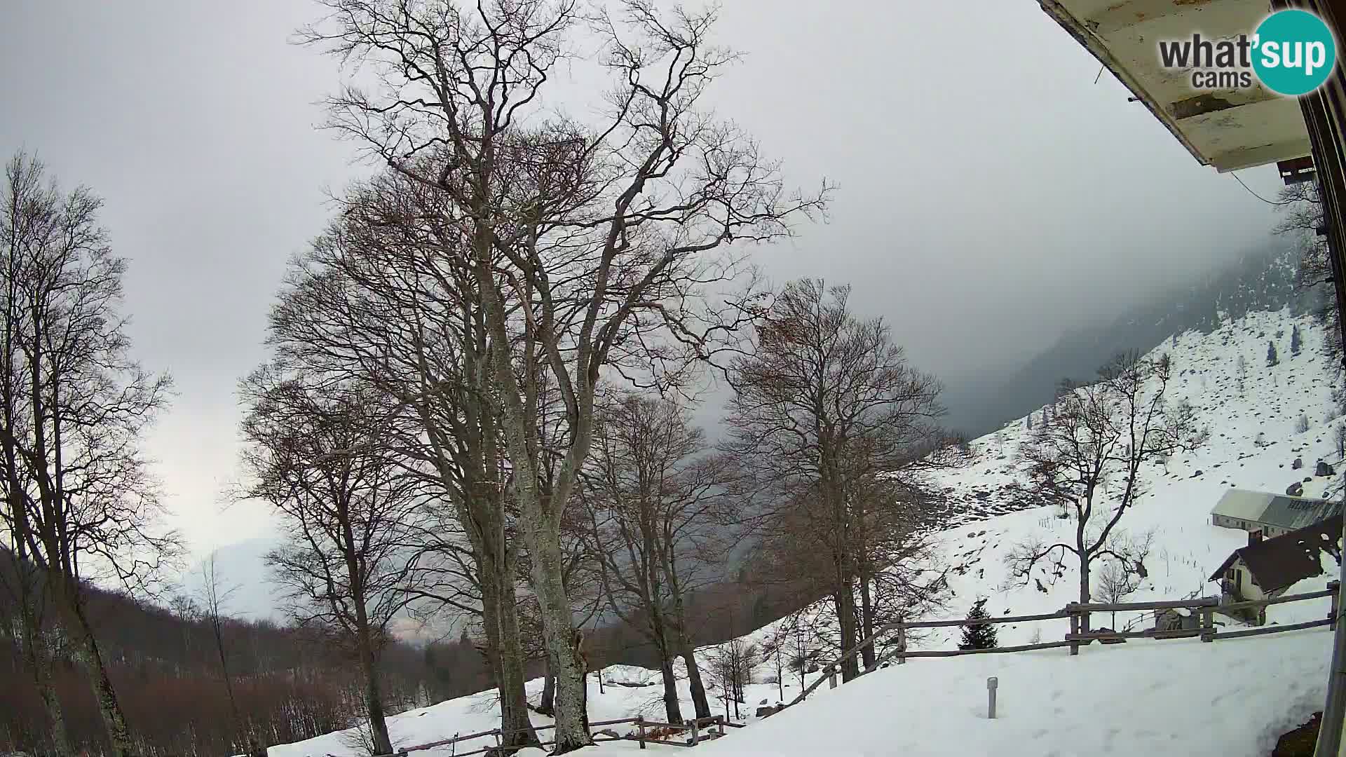 Planinarski dom na planini Razor (1315) | Pogled na Tolminski Migovec