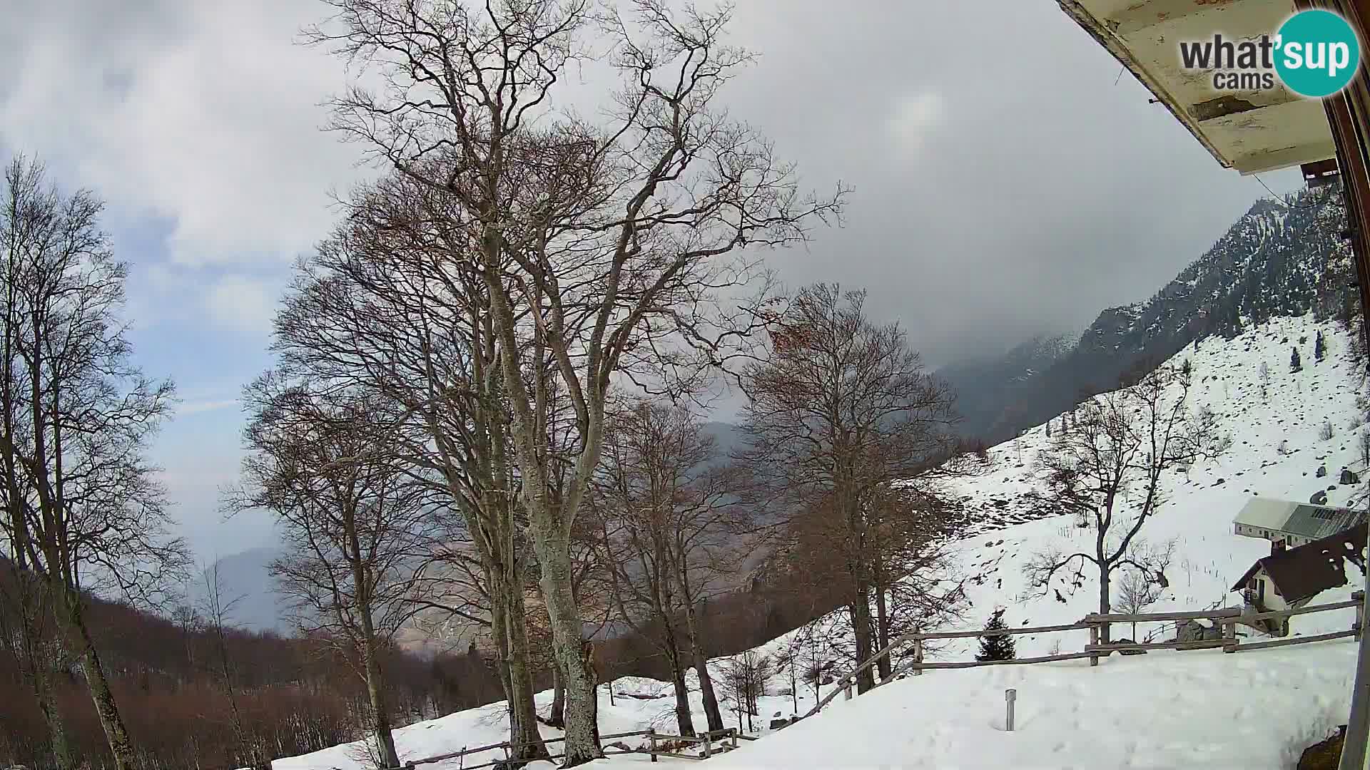 Refuge de la montagne Planina Razor caméra en direct (1315) | vue sur Tolminski Migovec