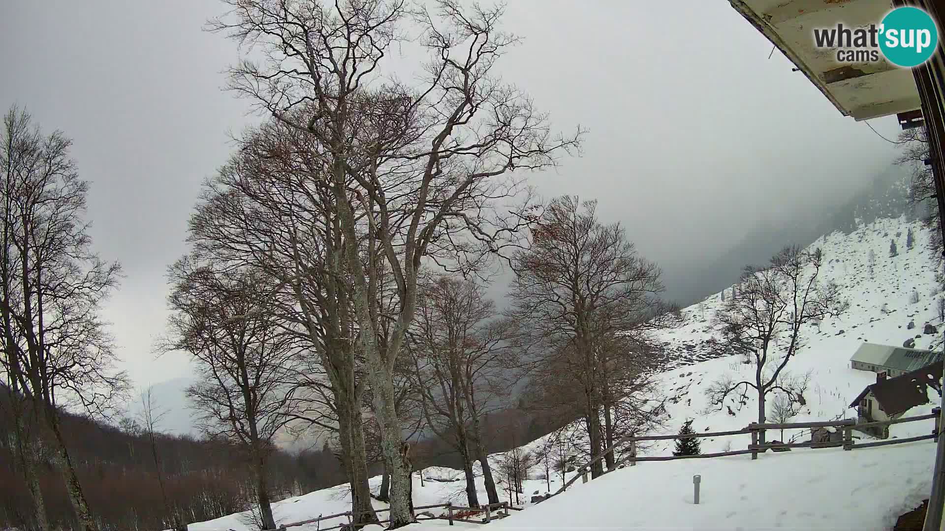 Refuge de la montagne Planina Razor caméra en direct (1315) | vue sur Tolminski Migovec