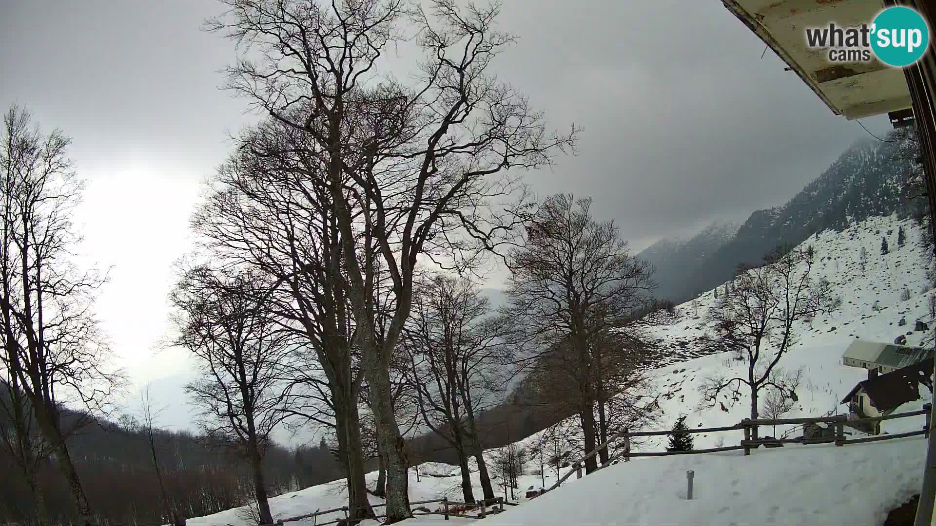 Planina Razor Mountain Hut live cam (1315) | view to Tolminski Migovec