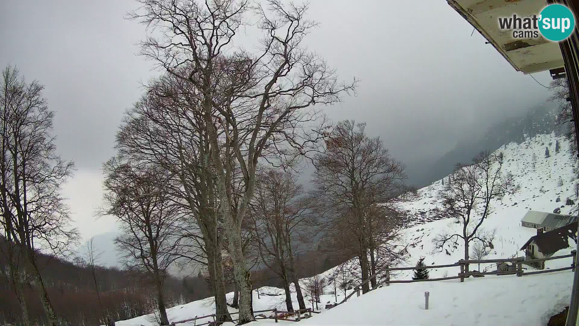 Refuge de la montagne Planina Razor caméra en direct (1315) | vue sur Tolminski Migovec