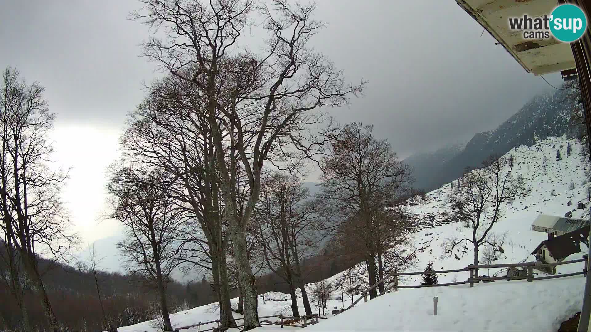 Cámara en vivo de la cabaña de montaña Planina Razor (1315) | vista hacia Tolminski Migovec