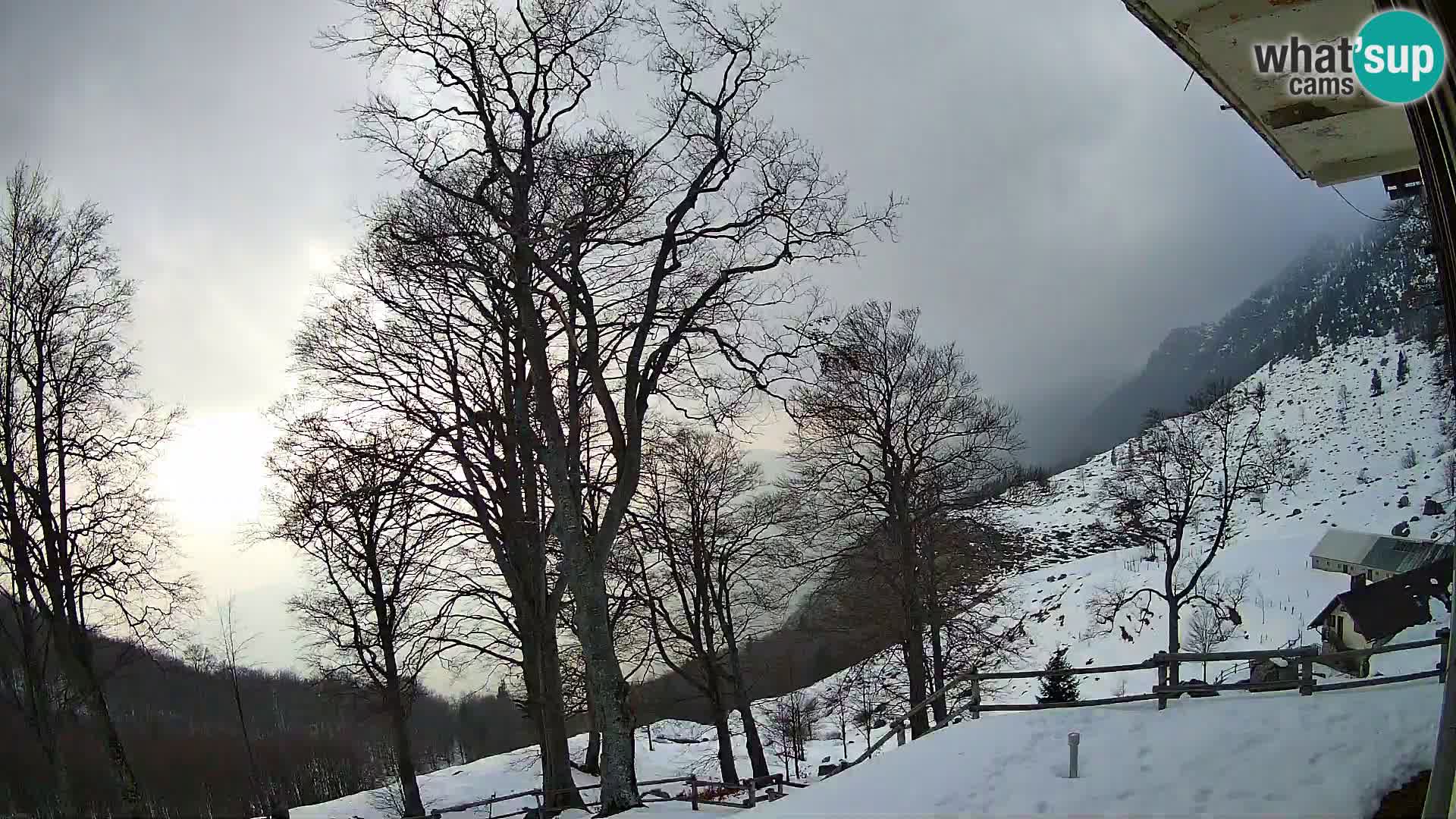 Planina Razor Bergütte Webcam (1315) | Blick auf Tolminski Migovec